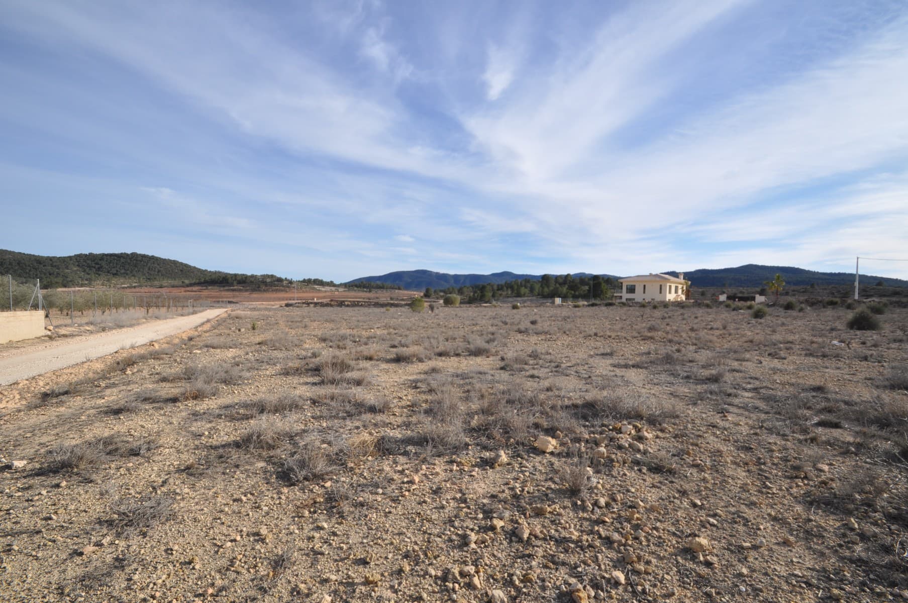 This 7.155m² piece of land offers a great opportunity for those looking to enjoy nature and open space. Located near Pinoso, the property features beautiful views of the surrounding countryside. Ideal for agricultural use or as a peaceful retreat.With easy access and a quiet setting, this land provides plenty of possibilities for future development or personal enjoyment. Whether you're looking to cultivate or simply invest, this is a fantastic opportunity in a scenic location.If you liked this property, do not hesitate to contact us to organize a visit, we will be happy to help you!