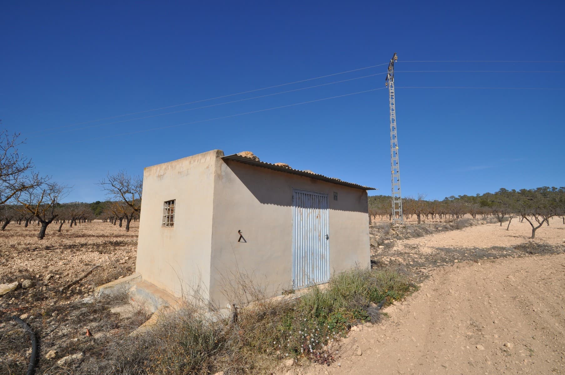 This 12,836m² plot is a great option for those looking for a well-maintained piece of land with existing resources. It features approximately 220 almond trees, a small storage shed with a water tank, and an irrigation water supply already installed.The property is easy to reach and offers beautiful views, making it ideal for agricultural use or future development.A practical and well-located investment with essential utilities in place.If you liked this property, do not hesitate to contact us to organize a visit, we will be happy to help you!