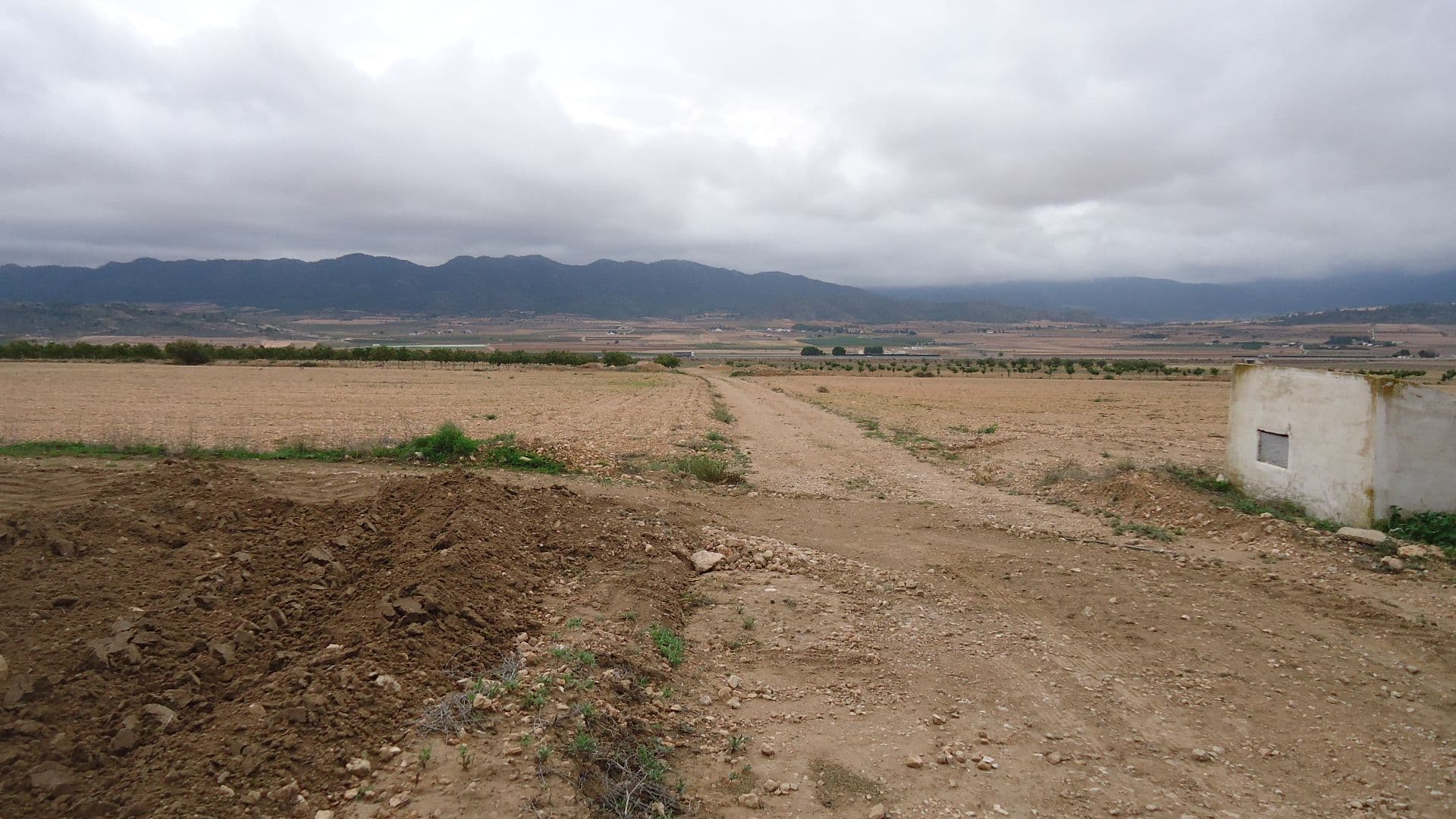 Located in a privileged environment in Yecla, Murcia, this rustic plot of 38,674 m² has irrigation water, which makes it an excellent option for agricultural projects or to enjoy a natural environment with all the comforts.With a generous extension and unobstructed views, this plot is ideal for those looking for a spacious and versatile space in the middle of nature. Its easy access and location in a quiet environment make this property a unique opportunity for investment or personal development.If you liked this property, do not hesitate to contact us to organize a visit, we will be happy to help you!