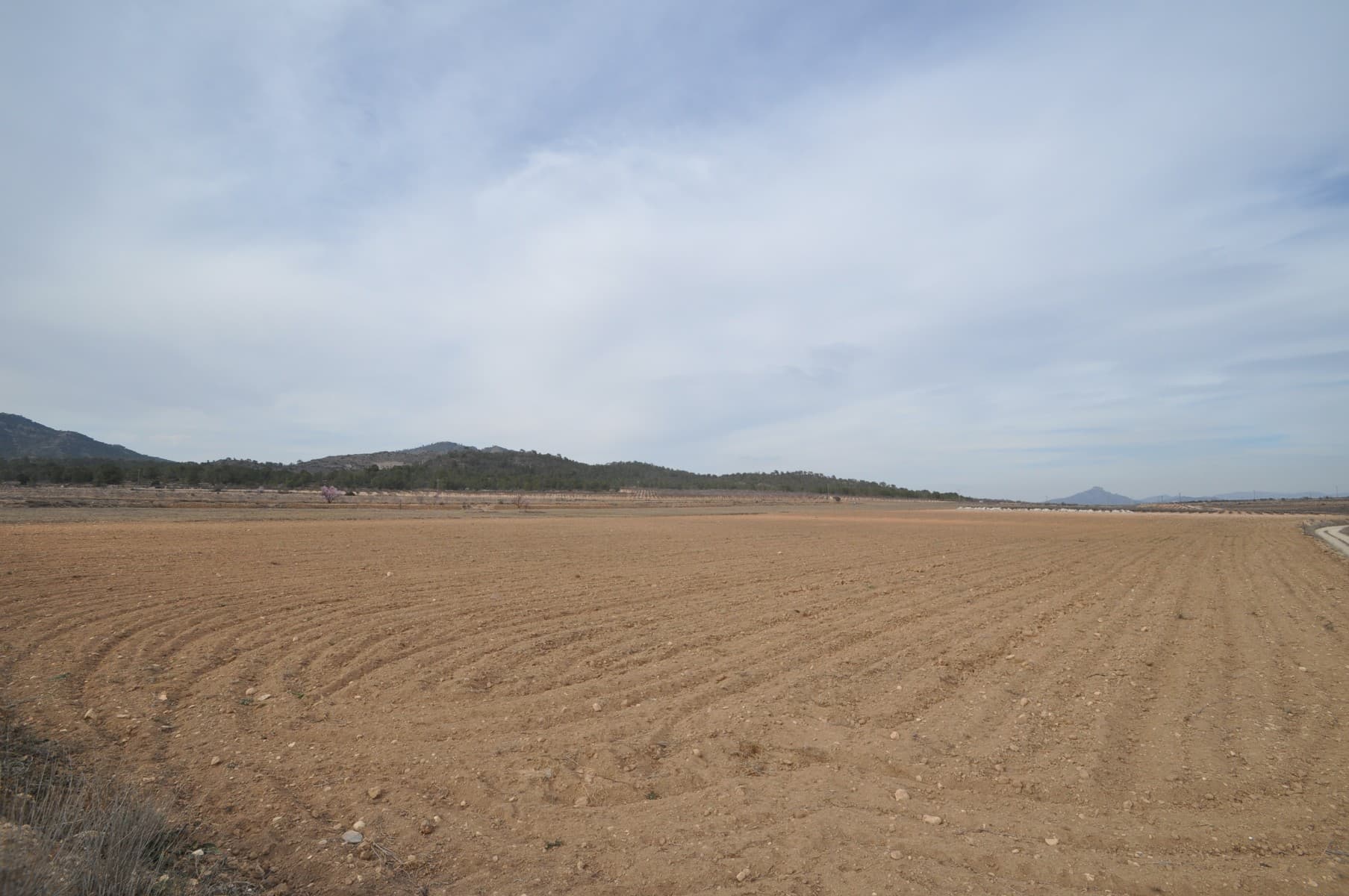 Spacious 33,880 m² plot for sale with water installation, perfect for those seeking space and tranquility close to nature. It is easily accessible, located along a well-maintained road, with asphalt reaching almost to the entrance. The property offers great views and a peaceful natural setting.Just 5 minutes from Salinas and 10 minutes from Monóvar, this location provides the privacy of the countryside while being close to all essential services. A great opportunity to develop a project tailored to your needs in an unbeatable environment.If you liked this property, do not hesitate to contact us to organize a visit, we will be happy to help you!