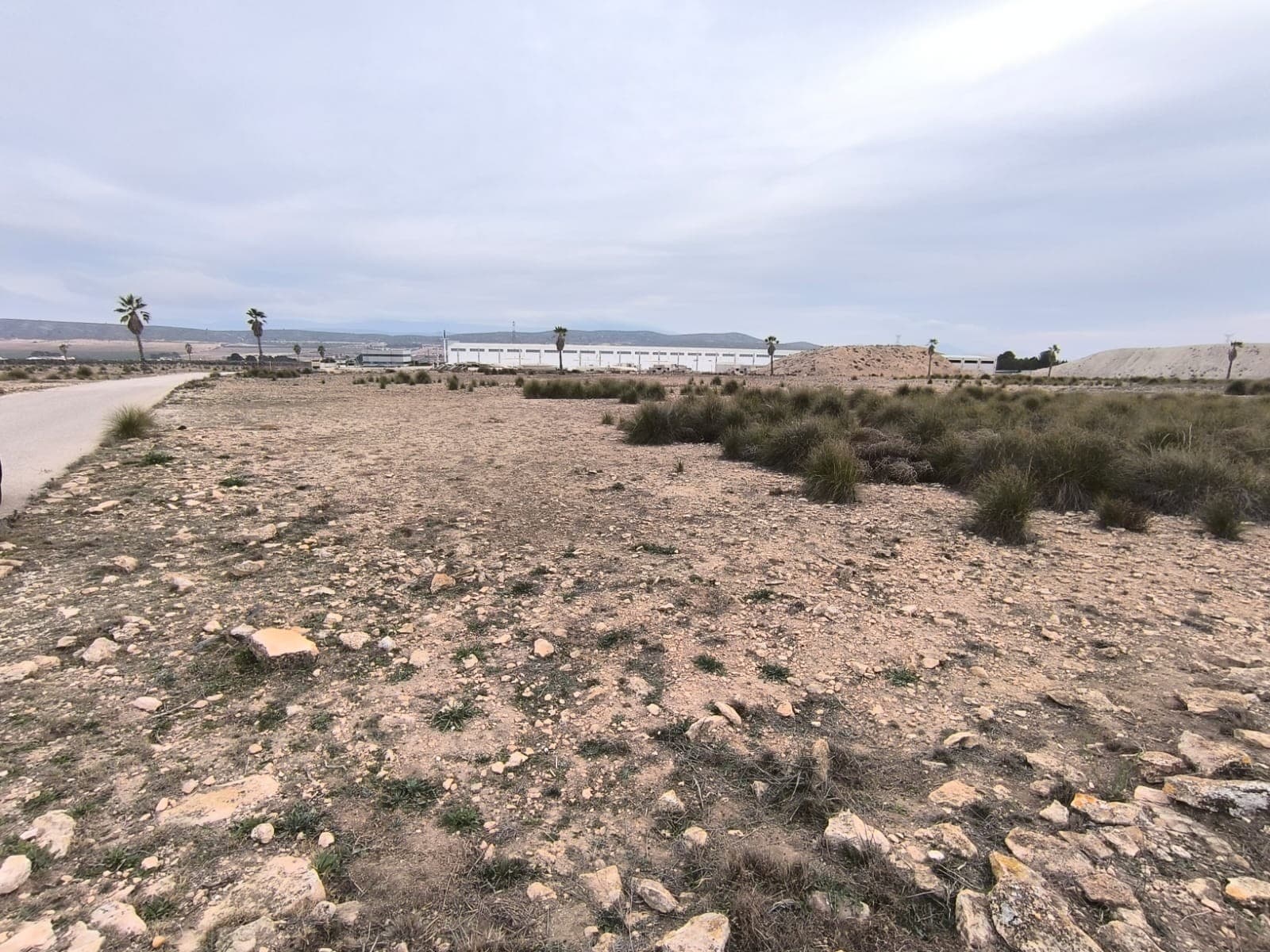For sale: plot of land totaling 95,000 m², divided into 7 parcels across 2 locations on the edge of Yecla. This property presents an opportunity for development, situated in a strategic location by a main road, plots are easily accessible. The land currently lacks water and electricity, the nearest connection points are approximately 250 meters away, making it a viable option for potential future construction. Don't miss out on this investment opportunity!Yecla is renowned for its wine production, historical landmarks, and vibrant local culture. The surrounding natural landscapes provide opportunities for outdoor activities, while the town itself offers all necessary services, including schools, shops, and restaurants. This property combines the tranquility of countryside living with easy access to modern amenities.We have a large portfolio of properties in the Costa Blanca and Costa Calida areas, specialising in country properties, villas, fincas, building plots and design and build options in the Alicante and Murcia regions with a particular emphasis on Elda, Monovar, Pinoso, Sax, Villena, Aspe, Fortuna, Albacete and many more surrounding areas. We have been established since 2004 and have decades of experience between the team which we bring to bear to help you find and secure your new dream home. We help you every step of the way to make sure your purchase in Spain is safe and hassle free. We are not here to sell you a property, we are here to help you realise your dream and find what is right for you. With us you are in the safest hands. Contact us now to have a no obligation chat about how you too can realise your dreams.