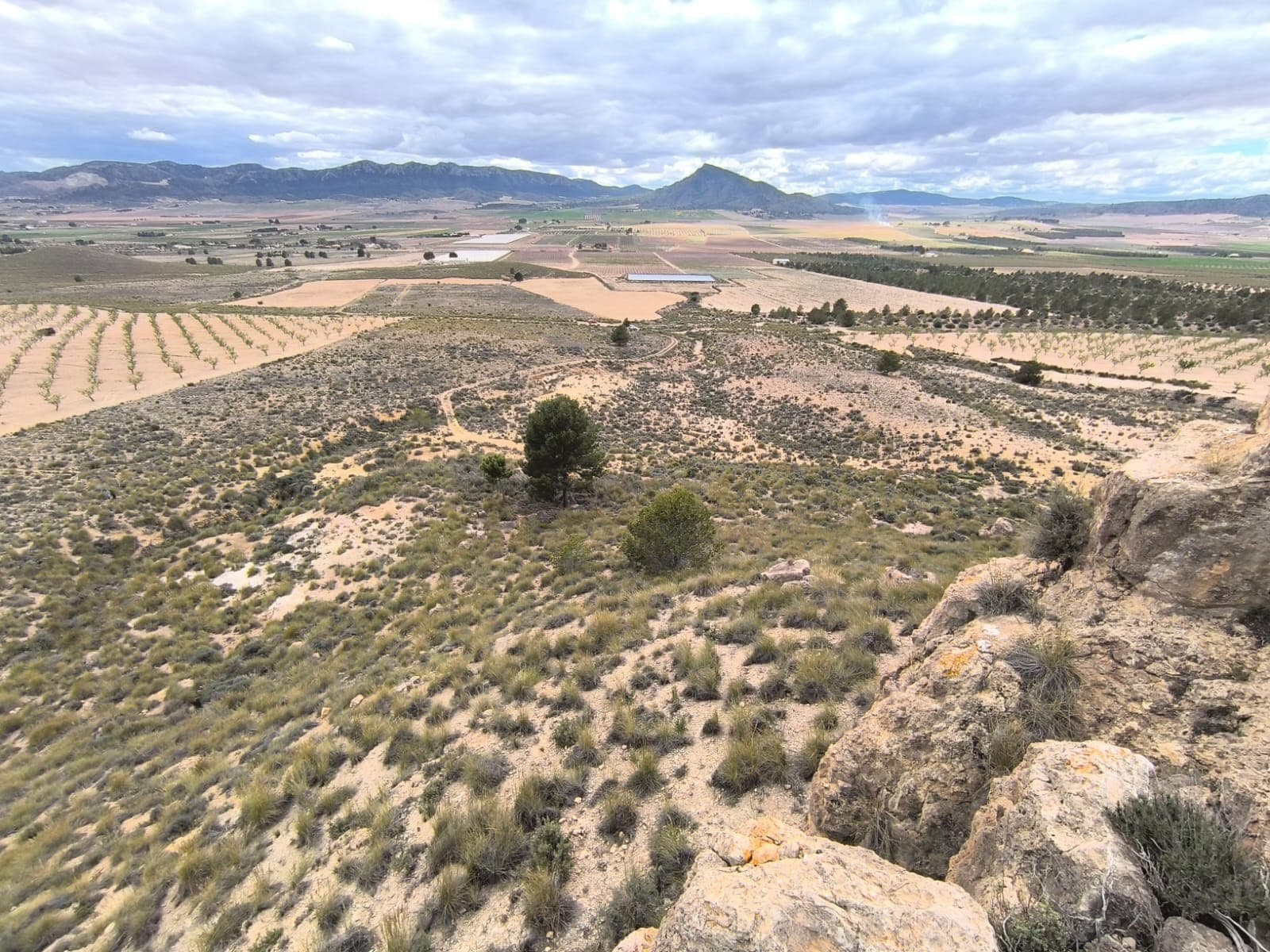 For sale: Land spanning a vast area of 80000 m2. The land features fallow terrain in a slope and part of rocky mountains with absolutely tremendous views. It also has a source of water, which could be potentially used. Surrounded by serene nature, while being few minutes drive from town of Yecla, this property offers various possibilities for very low price. The land could be used for a villa construction (it is buildable thanks to its size), agricultural production (almonds, vine, olives) or simply as an investment, offering a great price for its size and opportunities it presents!About the area: Yecla is renowned for its wine production, historical landmarks, and vibrant local culture. The surrounding natural landscapes provide opportunities for outdoor activities, while the town itself offers all necessary services, including schools, shops, and restaurants. This property combines the tranquility of countryside living with easy access to modern amenities.About us: We have a large portfolio of properties in the Costa Blanca and Costa Calida areas, specialising in country properties, villas, fincas, building plots and design and build options in the Alicante and Murcia regions with a particular emphasis on Elda, Monovar, Pinoso, Sax, Villena, Aspe, Fortuna, Albacete and many more surrounding areas. We have been established since 2004 and have decades of experience between the team which we bring to bear to help you find and secure your new dream home. We help you every step of the way to make sure your purchase in Spain is safe and hassle free. We are not here to sell you a property, we are here to help you realise your dream and find what is right for you. With us you are in the safest hands. Contact us now to have a no obligation chat about how you too can realise your dreams.