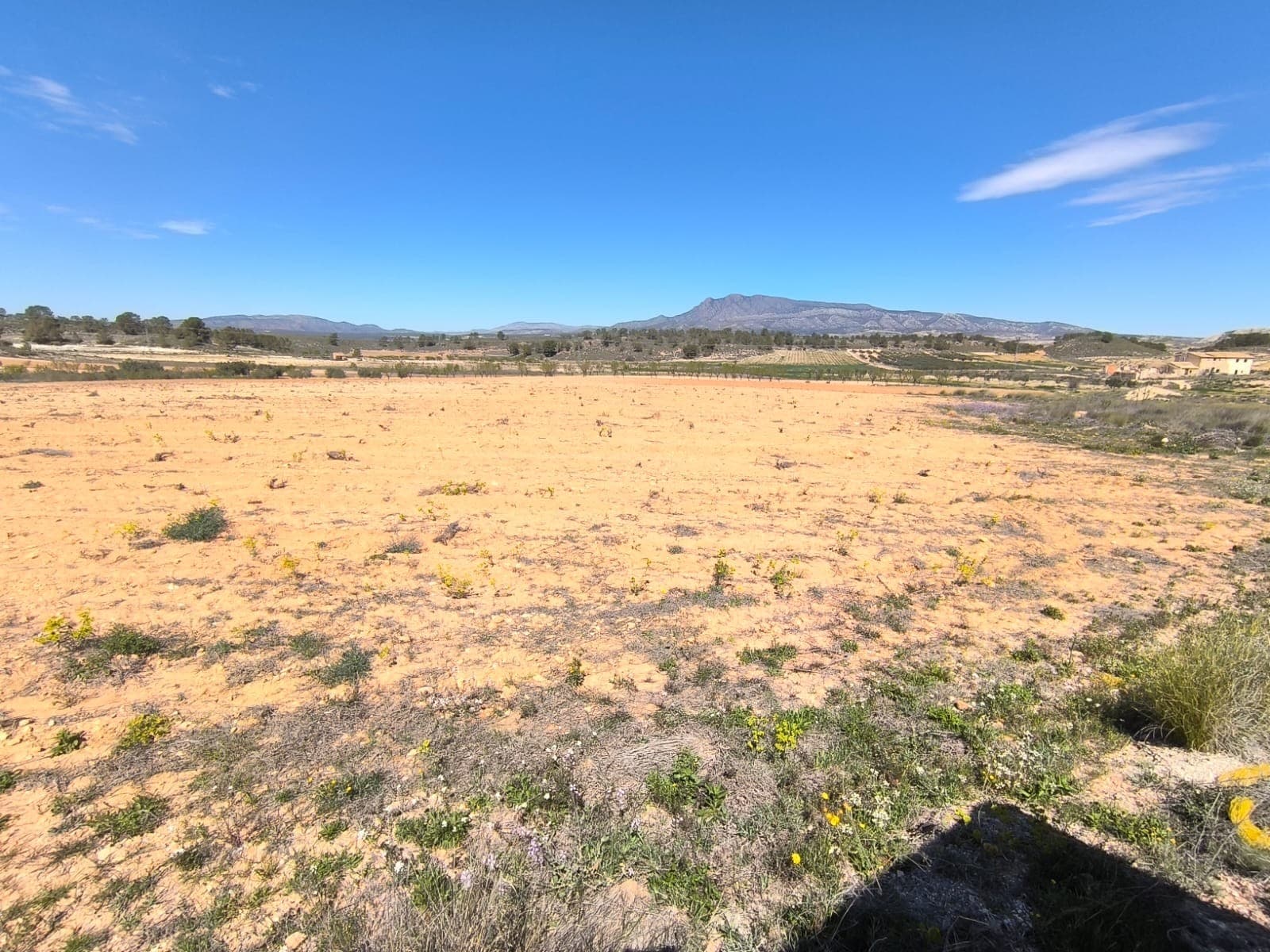 For sale: Parcel of app. 18000 m2, located near La Zarza in Jumilla municipality, 15 minutes from Pinoso. Former vineyard, currently fallow. Parcel could serve for agricultural purposes or for a rural house construction. Furthermore, neighbouring parcel with almond orchard of 15000 m2 could be bought to create one large estate.About the area: Murcia region in southeastern Spain is a major producer of fruits, vegetables, and nuts. Almond trees are particularly important, as Murcia's dry, warm, Mediterranean climate, and fertile soil are ideal for their cultivation. The region is one of Europe's leading producers of almonds, contributing significantly to both local and international markets.About us: We have a large portfolio of properties in the Costa Blanca and Costa Calida areas, specialising in country properties, villas, fincas, building plots and design and build options in the Alicante and Murcia regions with a particular emphasis on Elda, Monovar, Pinoso, Sax, Villena, Aspe, Fortuna, Albacete and many more surrounding areas. We have been established since 2004 and have decades of experience between the team which we bring to bear to help you find and secure your new dream home. We help you every step of the way to make sure your purchase in Spain is safe and hassle free. We are not here to sell you a property, we are here to help you realise your dream and find what is right for you. With us you are in the safest hands. Contact us now to have a no obligation chat about how you too can realise your dreams.