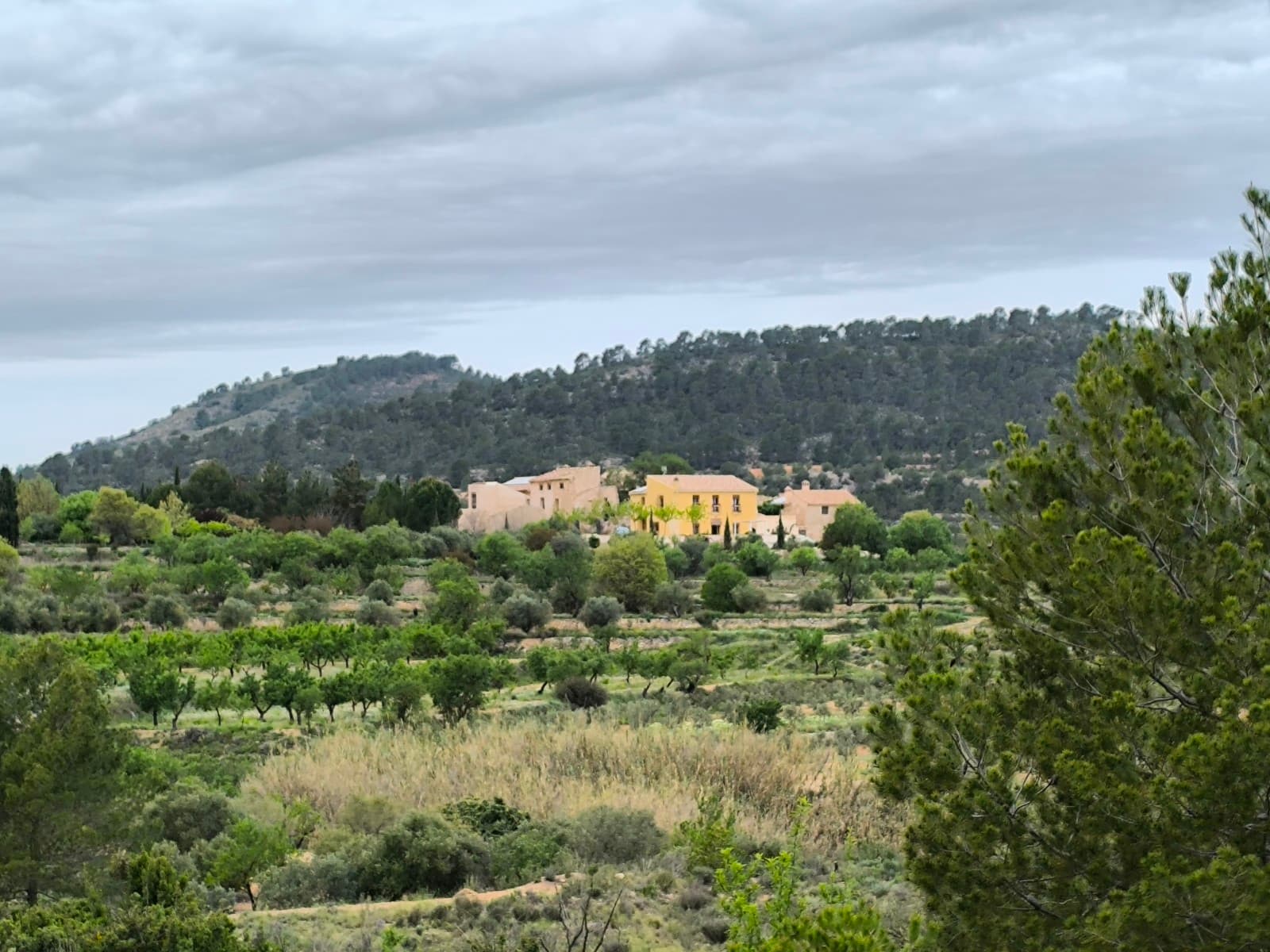 In a charming hamlet, surrounded by rolling hills and lush nature, this house to be renovated has endless potential. The structure of the house is solid and the roof was recently renewed. A unique opportunity for those looking for peace, space and the real outdoor life. Enjoy the silence and the breathtaking views every day. Directly from your front door you walk into nature, with numerous hiking trails, ideal for nature lovers and anyone who dreams of an authentic life in a beautiful environment.We have a large portfolio of properties in the Costa Blanca and Costa Calida areas, specialising in country properties, villas, fincas, building plots and design and build options in the Alicante and Murcia regions with a particular emphasis on Elda, Monovar, Pinoso, Sax, Villena, Aspe, Fortuna, Albacete and many more surrounding areas. We have been established since 2004 and have decades of experience between the team which we bring to bear to help you find and secure your new dream home. We help you every step of the way to make sure your purchase in Spain is safe and hassle free. We are not here to sell you a property, we are here to help you realise your dream and find what is right for you. With us you are in the safest hands. Contact us now to have a no obligation chat about how you too can realise your dreams.