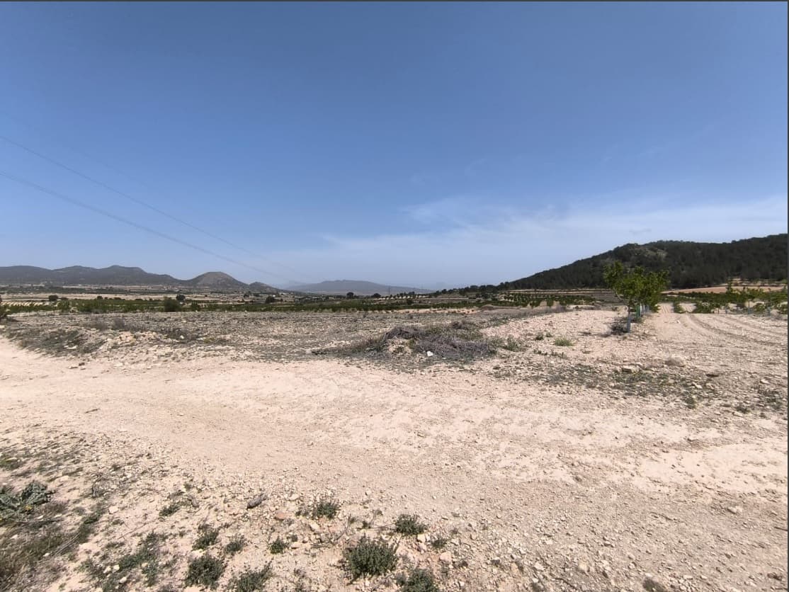 We offer this ecological almond orchard and potential building parcel located between Pinoso and Monovar, belonging to Monovar municipality. The plot of over 15.000 m2 located in a tranquil environment with stunning mountain views has an irrigation water, access is by a dirt road, 8 min ride from Pinoso, 12 min from Monovar. Electric wires are near, but the parcel is not connected yet.The land is planted with young almond trees in full production. The trees are irrigated with a modern irrigation system, hidden in a shed, equipped with a pump, solar system and ample storage room. The irrigation system can be bought extra with the land.About the area: Monovar (Alicante, Spain), known for its stunning countryside, and welcoming atmosphere, offers a perfect blend of traditional Spanish culture and modern conveniences. Surrounded by picturesque vineyards and rolling hills, the town is renowned for its quality of life, with excellent local amenities, schools, and easy access to both the vibrant cities of Alicante and Elche, as well as airport and Mediterranean beaches. The region Spain is a major producer of fruits, vegetables, and nuts. Almond trees are particularly important, as local dry, warm climate, and fertile soil are ideal for their cultivation.About us: We have a large portfolio of properties in the Costa Blanca and Costa Calida areas, specialising in country properties, villas, fincas, building plots and design and build options in the Alicante and Murcia regions with a particular emphasis on Elda, Monovar, Pinoso, Sax, Villena, Aspe, Fortuna, Albacete and many more surrounding areas. We have been established since 2004 and have decades of experience between the team which we bring to bear to help you find and secure your new dream home. We help you every step of the way to make sure your purchase in Spain is safe and hassle free. We are not here to sell you a property, we are here to help you realise your dream and find what is right for you. With us you are in the safest hands. Contact us now to have a no obligation chat about how you too can realise your dreams.