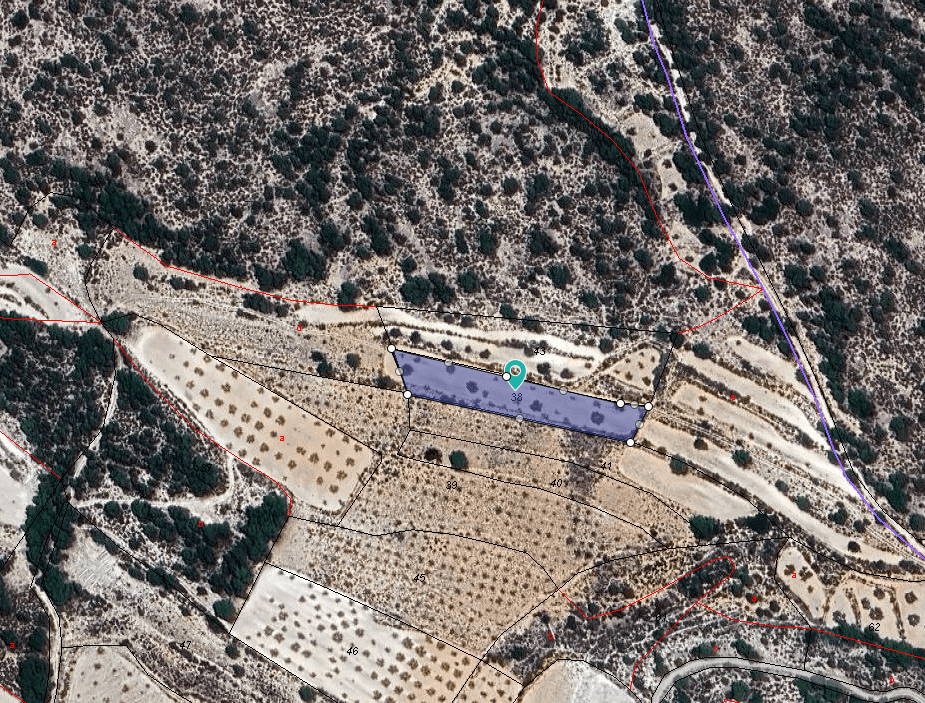 This 2,023 m² plot is located just outside Monóvar and is designated for agricultural use only. It is not buildable, but it offers a great opportunity for farming, planting trees, or other agricultural activities. With its manageable size, this land is ideal for hobby farmers, local growers, or anyone looking to invest in a piece of countryside.The area around Monóvar is well known for its vineyards, almond groves, and olive trees. It's a peaceful region with a strong agricultural tradition, yet close to all essential services in town. Monóvar offers supermarkets, restaurants, schools, and healthcare, and is just 35–40 minutes from Alicante city and the coast. This is a practical and affordable way to enjoy rural life in the Alicante province.We have a large portfolio of properties in the Costa Blanca and Costa Calida areas, specialising in country properties, villas, fincas, building plots and design and build options in the Alicante and Murcia regions with a particular emphasis on Elda, Monovar, Pinoso, Sax, Villena, Aspe, Fortuna, Albacete and many more surrounding areas. We have been established since 2004 and have decades of experience between the team which we bring to bear to help you find and secure your new dream home. We help you every step of the way to make sure your purchase in Spain is safe and hassle free. We are not here to sell you a property, we are here to help you realise your dream and find what is right for you. With us you are in the safest hands. Contact us now to have a no obligation chat about how you too can realise your dreams.