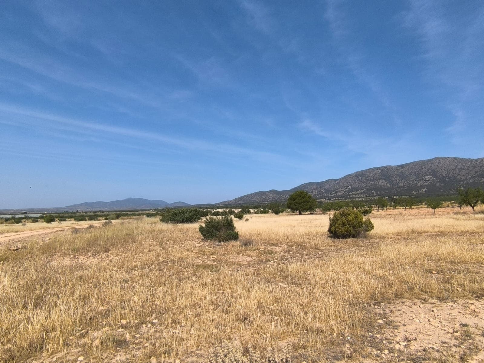 This 12,501 m² plot of land offers a fantastic opportunity to create a custom home in a peaceful rural setting near Monóvar. In this area you can build up to 2% over two levels. This provides more than enough space for a spacious villa, garden, and pool while maintaining privacy and open surroundings.Located just a short drive from the town of Monóvar, this area is known for its natural landscapes, vineyards, and welcoming local community. Monóvar offers all essential services such as supermarkets, medical care, schools, and restaurants, while still preserving a tranquil and traditional atmosphere. The plot also benefits from good road connections to nearby towns and is within reasonable distance to the coast and Alicante airport. This is a great opportunity for those looking to build in a scenic and accessible part of Alicante province.We have a large portfolio of properties in the Costa Blanca and Costa Calida areas, specialising in country properties, villas, fincas, building plots and design and build options in the Alicante and Murcia regions with a particular emphasis on Elda, Monovar, Pinoso, Sax, Villena, Aspe, Fortuna, Albacete and many more surrounding areas. We have been established since 2004 and have decades of experience between the team which we bring to bear to help you find and secure your new dream home. We help you every step of the way to make sure your purchase in Spain is safe and hassle free. We are not here to sell you a property, we are here to help you realise your dream and find what is right for you. With us you are in the safest hands. Contact us now to have a no obligation chat about how you too can realise your dreams.