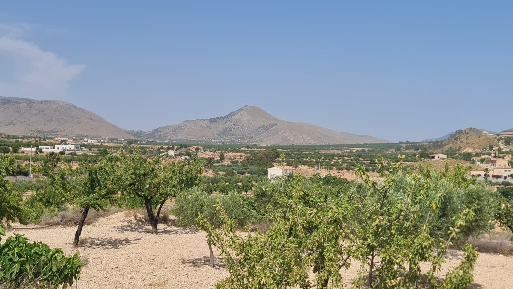 Buildable Plot with Almond Trees – Macisvenda, Abanilla (Murcia)This 9,700 m² plot is located on the edge of Macisvenda village, within walking distance to the village. The land is classified as buildable, making it a great opportunity to construct a private home or country retreat. It features established almond trees, irrigation water supply, and a nearby electricity connection point. Access is via a short dirt track road, ensuring year-round convenience.The plot offers a blend of rural charm and practical access, making it ideal for those looking to enjoy country living without being isolated. Its size allows for flexibility in building design while maintaining space for gardens, a pool, or other outdoor features.About the Area: Macisvenda is a peaceful village in the municipality of Abanilla, Murcia. Surrounded by orchards and hills, the area is known for its quiet atmosphere, sunny climate, and traditional Spanish lifestyle. Essential services are available in the village, with larger towns such as Abanilla and Fortuna just a short drive away. The beaches of the Costa Blanca and Alicante Airport are also within easy reach, making this an excellent location for a permanent home or holiday escape.We have a large portfolio of properties in the Costa Blanca and Costa Calida areas, specialising in country properties, villas, fincas, building plots and design and build options in the Alicante and Murcia regions with a particular emphasis on Elda, Monovar, Pinoso, Sax, Villena, Aspe, Fortuna, Albacete and many more surrounding areas. We have been established since 2004 and have decades of experience between the team which we bring to bear to help you find and secure your new dream home. We help you every step of the way to make sure your purchase in Spain is safe and hassle free. We are not here to sell you a property, we are here to help you realise your dream and find what is right for you. With us you are in the safest hands. Contact us now to have a no obligation chat about how you too can realise your dreams.