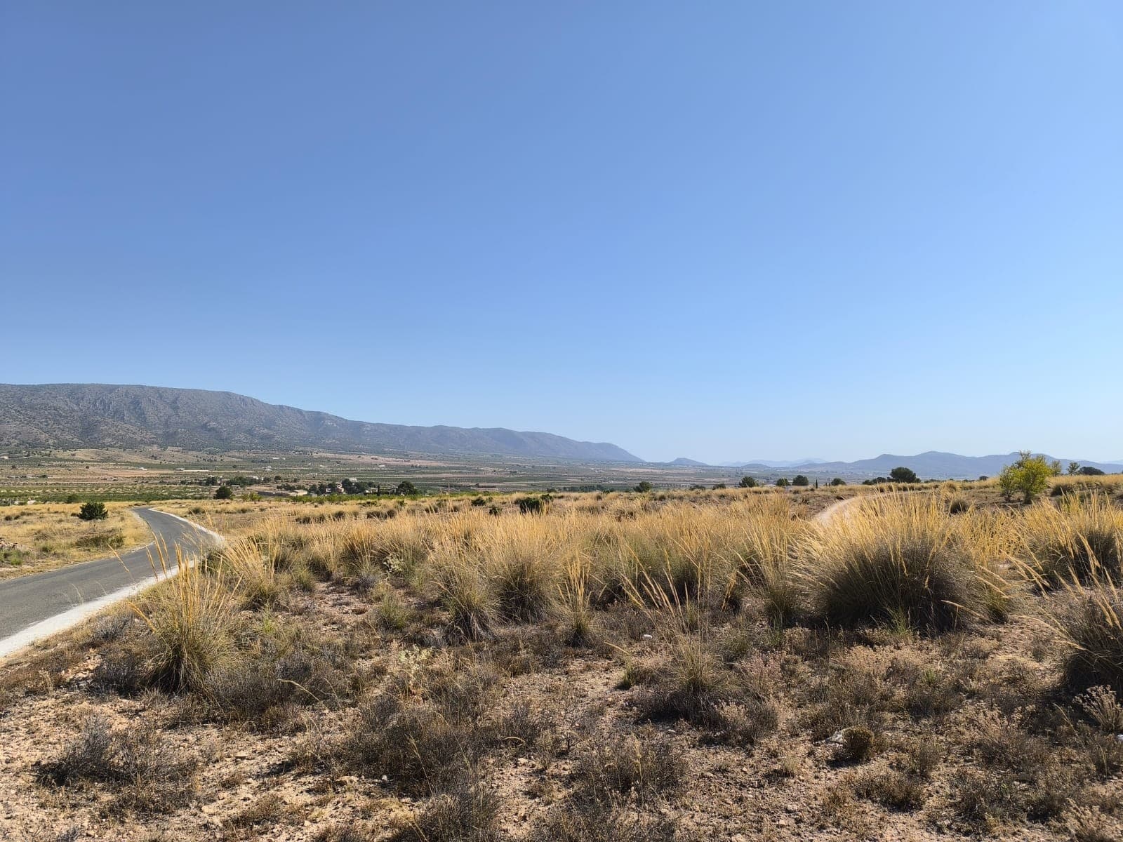 Large Plot with Building Potential – Lel, near PinosoThis 23,472 m² plot in Lel, just outside of Pinoso, offers a great opportunity for anyone looking to build a home in the countryside. With tarmac road access, this expansive parcel is classified as a potential building plot, allowing for construction of up to 2% of the plot size over two levels—ideal for a custom villa or rural retreat. Please note that the plot has no water or electricity connections. The plot is located just 3km outside of Pinoso and offers great views of the surrounding area.About the Area: Lel is a quiet hamlet located a short drive from Pinoso, one of the most sought-after towns in the inland Alicante region. Known for its wine production, welcoming community, and beautiful natural surroundings, Pinoso offers all essential amenities including supermarkets, schools, health services, bars, and restaurants. Alicante city, airport, and the coast are approximately 45 minutes away, making this location perfect for those who want rural living with easy access to urban convenience.We have a large portfolio of properties in the Costa Blanca and Costa Calida areas, specialising in country properties, villas, fincas, building plots and design and build options in the Alicante and Murcia regions with a particular emphasis on Elda, Monovar, Pinoso, Sax, Villena, Aspe, Fortuna, Albacete and many more surrounding areas. We have been established since 2004 and have decades of experience between the team which we bring to bear to help you find and secure your new dream home. We help you every step of the way to make sure your purchase in Spain is safe and hassle free. We are not here to sell you a property, we are here to help you realise your dream and find what is right for you. With us you are in the safest hands. Contact us now to have a no obligation chat about how you too can realise your dreams.
