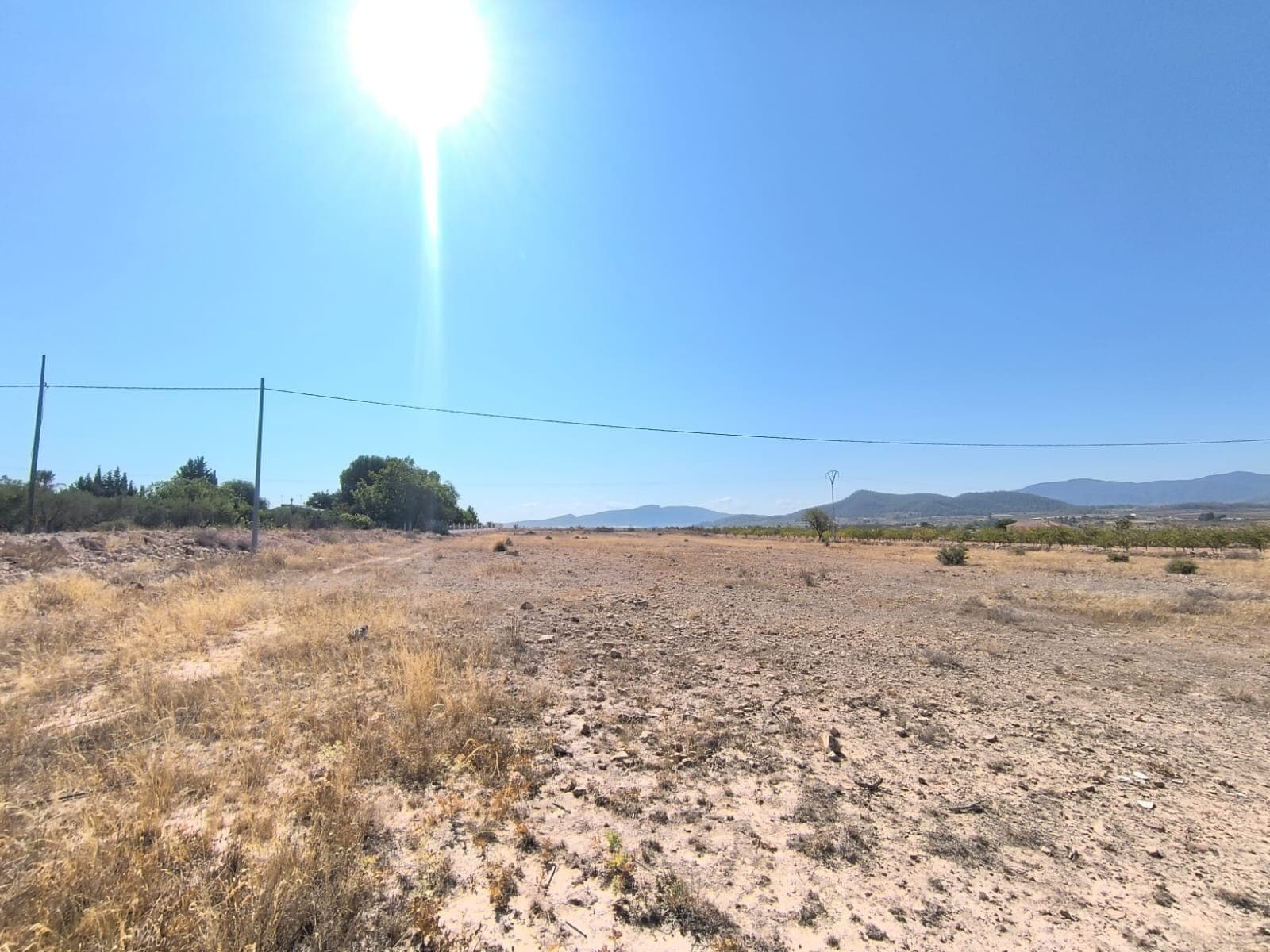 A nice flat plot located just outside the village of Ubeda in the area of Pinoso. The plot benefits from tarmac access and planning permission for a stunning villa. This is a great opportunity to pick up a great bargain. The plot has 14,146m2 but only 10,483m2 is refelcted in the title deed. Floor plans are available for the villa as well as aerial topographs of the plot. With the License in place you can start to build straight away.Water and electric, both run past the plot.We are specialists in the Costa Blanca and Costa Calida specialising in the Alicante and Murcia Inland regions with a particular emphasis on Elda, Pinoso, Aspe, Elche and surrounding areas. We are an established, well known and trusted company that has built a solid reputation amongst buyers and sellers since we began trading in 2004. We offer a complete service with no hidden charges or surprises, starting with sourcing the property, right through to completion, and an unrivalled after sales service which includes property management, building services, and general help and advice to make your new house a home. With a portfolio of well over 1400 properties for sale, we are confident that we can help, so just let us know your preferred property, budget and location, and we will do the rest.
