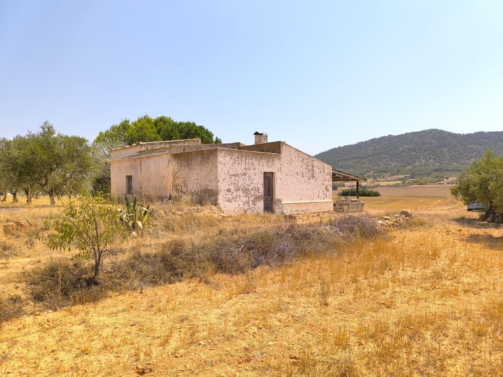 Are you looking to start a farm in Spain with a low budget? Then you found the right property! This Rural House near Yecla offers a unique opportunity for those looking to create their dream in calm and picturesque setting. The house is in need of total reconstruction and is offered at a bargain price. It features two bedrooms, a kitchen with a fireplace, a garage, a patio, storage rooms and a bathroom accessible from outside. Access to the house is with a convenient dirt road.The house operates off-grid and includes a water deposit, ensuring self-sufficiency. It is located in center of expansive compact land of 45,000 m², offering privacy and beautiful mountain views, adorned with olive trees and cereal field, provides opportunities for farming or keeping horses, dogs or other animals. The house has no direct neighbours, but there are some other houses in the area, ensuring a balance between privacy and safety of local community.Don't miss out on this chance to create your dream home in a beautiful rural setting, 80 km from the Mediterranean beaches.About the area: Yecla is renowned for its wine production, historical landmarks, and vibrant local culture. The surrounding natural landscapes provide opportunities for outdoor activities, while the town itself offers all necessary services, including schools, shops, and restaurants. This property combines the tranquility of countryside living with easy access to modern amenities.About us: We have a large portfolio of properties in the Costa Blanca and Costa Calida areas, specialising in country properties, villas, fincas, building plots and design and build options in the Alicante and Murcia regions with a particular emphasis on Elda, Monovar, Pinoso, Sax, Villena, Aspe, Fortuna, Albacete and many more surrounding areas. We have been established since 2004 and have decades of experience between the team which we bring to bear to help you find and secure your new dream home. We help you every step of the way to make sure your purchase in Spain is safe and hassle free. We are not here to sell you a property, we are here to help you realise your dream and find what is right for you. With us you are in the safest hands. Contact us now to have a no obligation chat about how you too can realise your dreams.