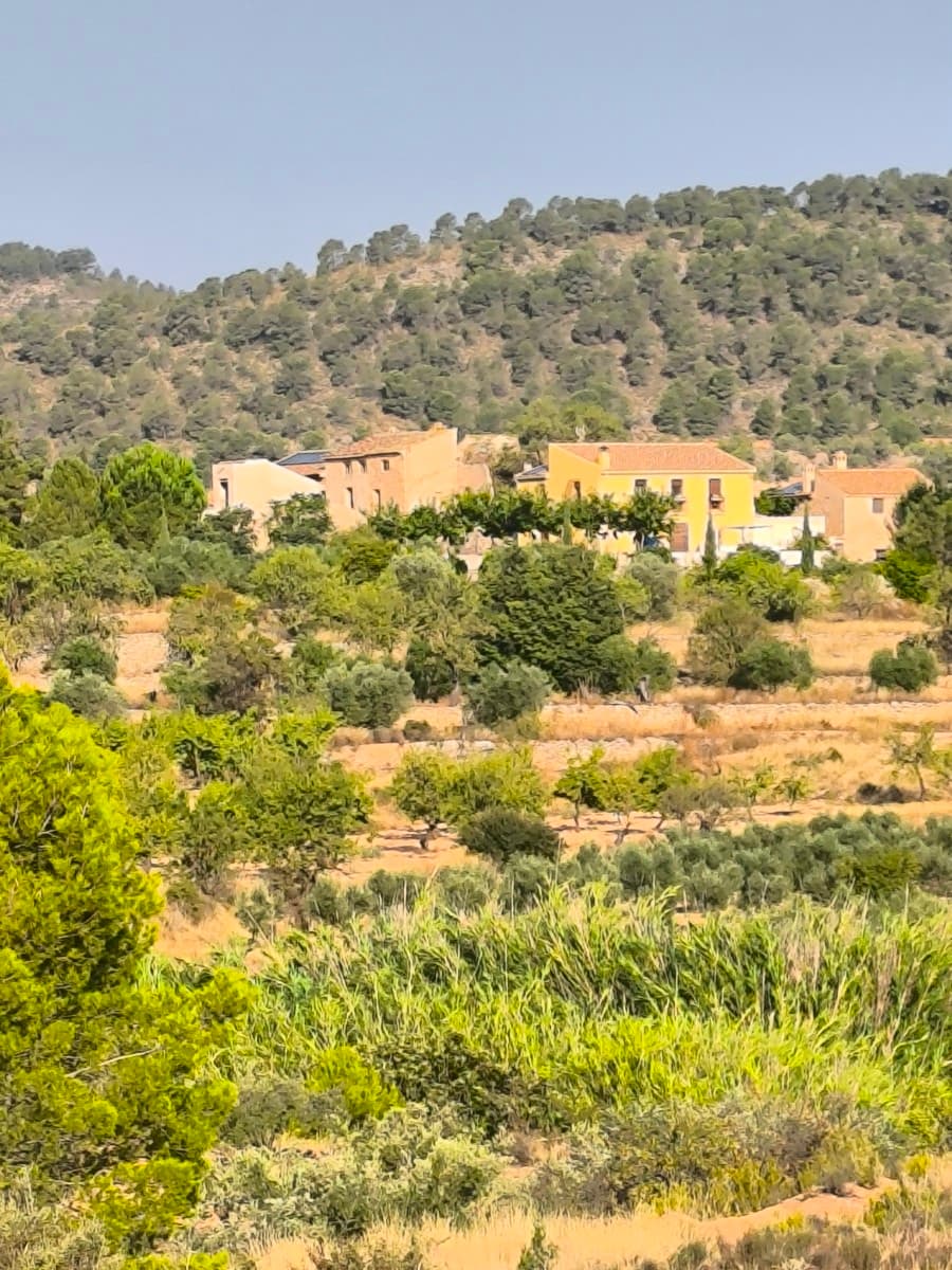 House to renovate in idyllic Spanish hamlet – near Font AlmorquíThis unique renovation project is located in a charming hamlet, surrounded by unspoiled nature and near the beautiful Font Almorquí area. On a generous 750 m² plot, you'll find a characteristic house, two dilapidated barns, and what was once a charming chapel.The main house exudes history but requires complete renovation. There is currently no water or electricity connection, but proven solutions exist in Spain, such as solar panels for energy and a water reservoir for the water supply.This is an excellent opportunity for those seeking peace, space, and an authentic Spanish setting. With the right vision, this place can be transformed into a beautiful home or holiday retreat, surrounded by nature, yet within easy reach of amenities.A blank canvas for those who appreciate history, nature, and self-sufficient living.Located only 10 minutes away from Pinoso and 15 minutes from Monovar.Add Another House to Extend Your Property Imagine doubling your space by adding another house right next to this one. Whether you want more privacy for guests, extra room for big family gatherings, or a separate space for friends, this addition would transform your property into the perfect vacation retreat. With more bedrooms, expanded common areas, and plenty of outdoor space, you can create a destination that brings everyone together while giving them room to spread out and relax (see our ref 69009 and 69015)About Monóvar & Pinoso – Where Tradition Meets Flavor: Savor the rich taste of Fondillón, Monóvar's world-famous sweet wine, and indulge in rustic Mediterranean dishes like gazpacho manchego, rabbit with snails, and migas. Explore charming historic streets, lace-making traditions, and nearby natural parks. In neighboring Pinoso, experience award-winning red wines, marble heritage, and warm village hospitality. Together, these towns offer the perfect blend of culture, cuisine, and countryside charm.About us: we have a large portfolio of properties in the Costa Blanca and Costa Calida areas, specialising in country properties, villas, fincas, building plots and design and build options in the Alicante and Murcia regions with a particular emphasis on Elda, Monovar, Pinoso, Sax, Villena, Aspe, Fortuna, Albacete and many more surrounding areas. We have been established since 2004 and have decades of experience between the team which we bring to bear to help you find and secure your new dream home. We help you every step of the way to make sure your purchase in Spain is safe and hassle free. We are not here to sell you a property, we are here to help you realise your dream and find what is right for you. With us you are in the safest hands. Contact us now to have a no obligation chat about how you too can realise your dreams.