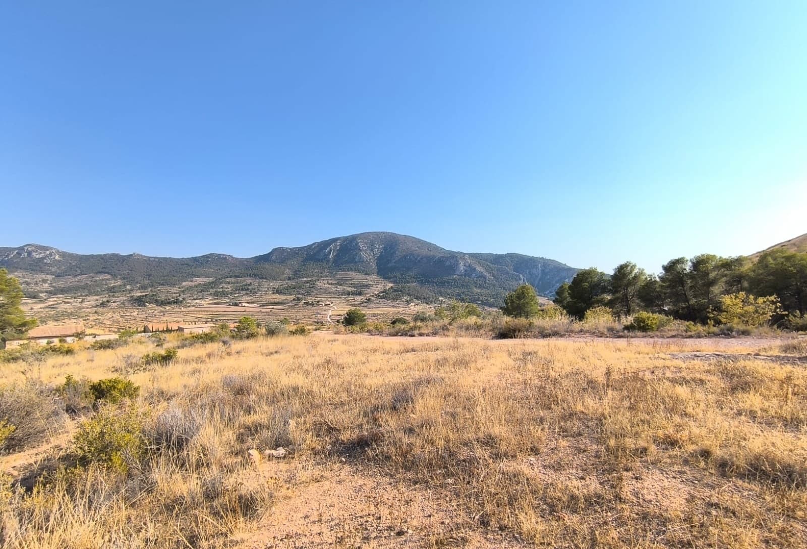 Wonderful opportunity! Legal building plot of almost 16000 m2 in municipality La Romana, Alicante. The property offers stunning mountain views, and, with a good weather, a bit of seaviews in the distance. The parcel neighbours with a one house, is in a slight slope, surrounded by nature in a beautiful Medditeranean valley. It has no water or electricity, the future house could have a solar system and a water deposit. Perfect blend of privacy and proximity to local amenities. Distances:Main tarmac road - 600 mAlgueña (the closest village with a bar and supermarket) - 5 minLa Romana (the closest town) - 7 minNovelda (markets, clinics, vet, gyms, train station) - 16 minElche (the closest city) - 30 minAlicante airport - 38 minBeach - 40 minAbout the Area: Located in the picturesque interior of Alicante, Algueña offers a peaceful rural lifestyle surrounded by vineyards, almond groves, and scenic mountains. This charming Spanish village is perfect for those seeking authentic Mediterranean living - just 45 min from the coast and Alicante airport. Enjoy a friendly community, local markets, great gastronomy, and a calm, sunny climate year-round.About us: We have a large portfolio of properties in the Costa Blanca and Costa Calida areas, specialising in country properties, villas, fincas, building plots and design and build options in the Alicante and Murcia regions with a particular emphasis on Elda, Monovar, Pinoso, Sax, Villena, Aspe, Fortuna, Albacete and many more surrounding areas. We have been established since 2004 and have decades of experience between the team which we bring to bear to help you find and secure your new dream home. We help you every step of the way to make sure your purchase in Spain is safe and hassle free. We are not here to sell you a property, we are here to help you realise your dream and find what is right for you. With us you are in the safest hands. Contact us now to have a no obligation chat about how you too can realise your dreams.