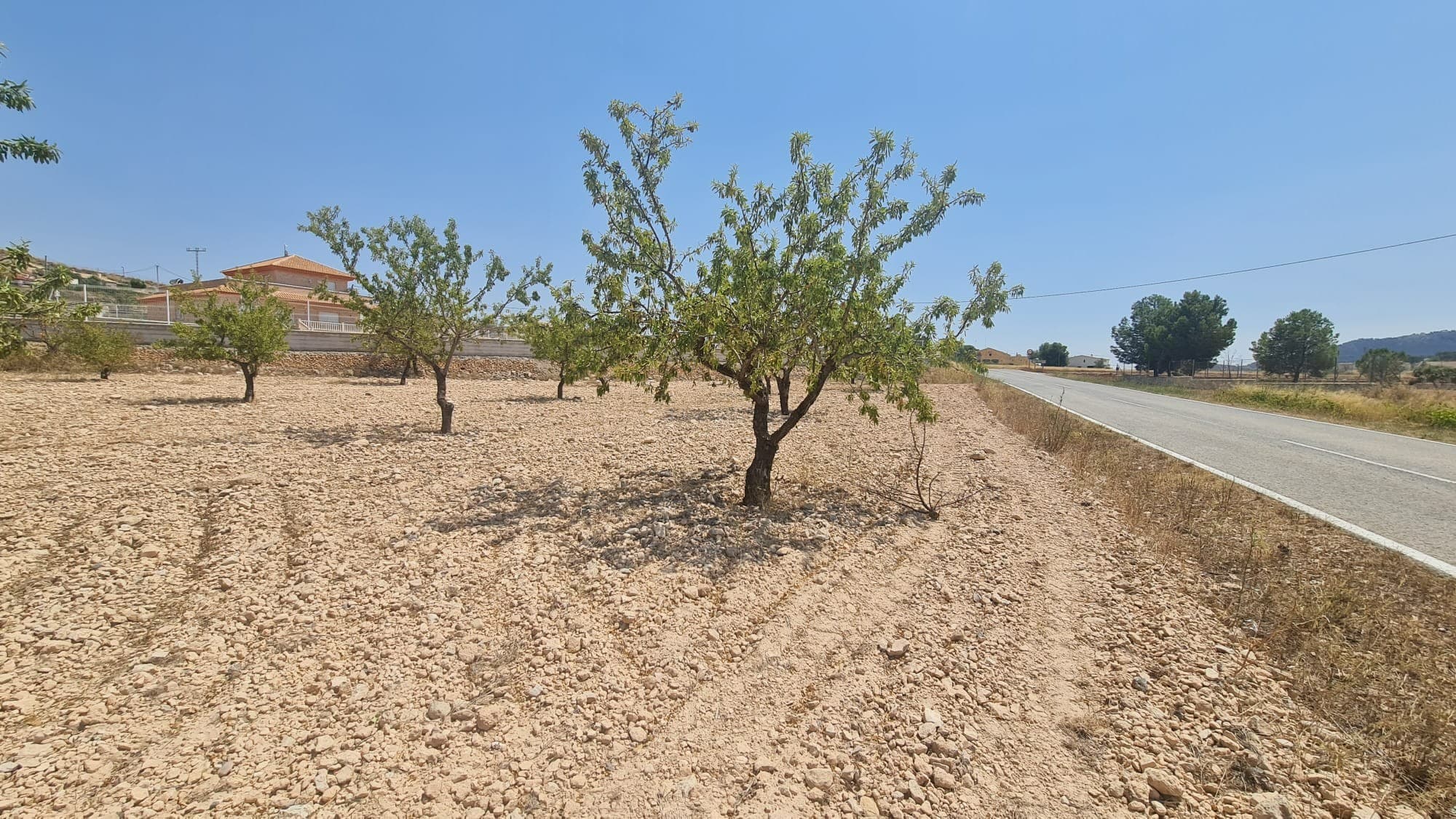 A rare opportunity to purchase a 7,340 m² rustic buildable plot in Jumilla. This large plot offers peaceful surroundings and plenty of space, perfect for building a countryside home or retreat.The land benefits from easy road access and is set in a quiet, scenic area, providing a tranquil lifestyle while still being within reach of local amenities.The plot allows for a build of up to 250 m² if constructing a single floor, or 200 m² per floor for a two-storey property, giving plenty of flexibility for your project.With its size, location, and building potential, this plot is an ideal choice for anyone looking to invest in the countryside.Both water and electric are available in the area.We have a large portfolio of properties in the Costa Blanca and Costa Calida areas, specialising in country properties, villas, fincas, building plots and design and build options in the Alicante and Murcia regions with a particular emphasis on Elda, Monovar, Pinoso, Sax, Villena, Aspe, Fortuna, Albacete and many more surrounding areas. We have been established since 2004 and have decades of experience between the team which we bring to bear to help you find and secure your new dream home. We help you every step of the way to make sure your purchase in Spain is safe and hassle free. We are not here to sell you a property, we are here to help you realise your dream and find what is right for you. With us you are in the safest hands. Contact us now to have a no obligation chat about how you too can realise your dreams.