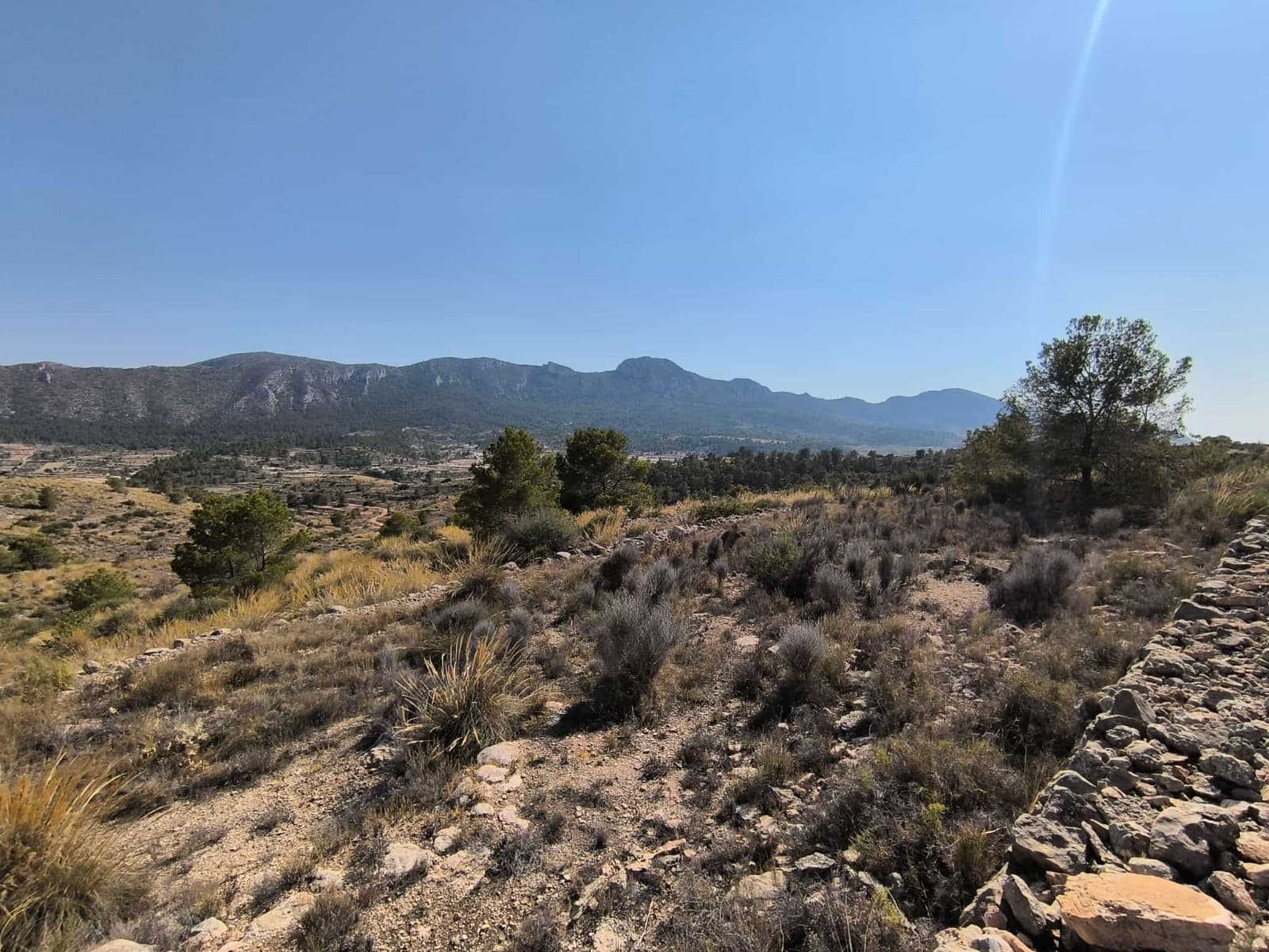 Are you looking to building your own dream in a beautiful setting, surrounded by Mediterranean nature and rocky mountains? Discover our legal building plot of over 33000 m2 near La Romana, Alicante. The property is located in the slope of the mountain, and while the terrain presents a challenge, the beautiful environment means not only that you'll be very unlike to have any neighbours, you also set yourself to live in a beautiful piece of wild nature - only 30 min from the sea.Access is via a dirt road - an off-road car is recommended. The parcel has a water connection. There is no electricity, the future house could operate with a solar system. Breathtaking views, privacy, and tranquility, all while not being too far away from amenities. Distances:The closest neighbour - 800 mMain tarmac road - 1 kmLa Romana (the closest town with a bar, supermarket etc.) - 5 minNovelda (markets, clinics, vet, gyms, train station) - 15 minElche (the closest city) - 30 minAlicante airport - 38 minBeach - 40 minAbout the Area: La Romana is a charming town known for its tranquil rural setting while being conveniently close to larger towns and the coast. Surrounded by vineyards and almond groves, it offers a relaxed lifestyle with a strong sense of community. Essential services, shops, restaurants, and schools are within easy reach, and Alicante airport is just a short drive away. La Romana is an ideal location for those seeking an excellent opportunity to own their new home in a peaceful yet well-connected location.About us: We have a large portfolio of properties in the Costa Blanca and Costa Calida areas, specialising in country properties, villas, fincas, building plots and design and build options in the Alicante and Murcia regions with a particular emphasis on Elda, Monovar, Pinoso, Sax, Villena, Aspe, Fortuna, Albacete and many more surrounding areas. We have been established since 2004 and have decades of experience between the team which we bring to bear to help you find and secure your new dream home. We help you every step of the way to make sure your purchase in Spain is safe and hassle free. We are not here to sell you a property, we are here to help you realise your dream and find what is right for you. With us you are in the safest hands. Contact us now to have a no obligation chat about how you too can realise your dreams.