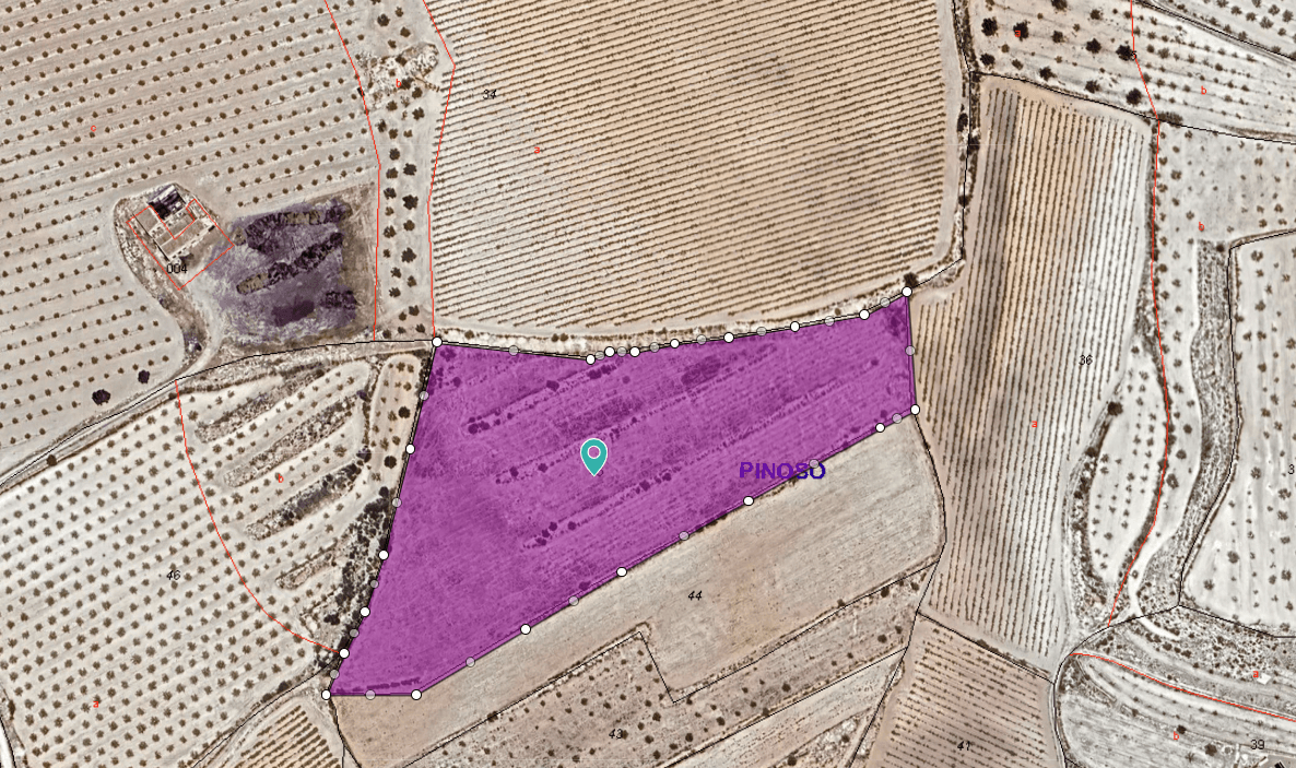 Nestled in the charming hamlet of Úbeda, just a 10-minute drive from the vibrant town of Pinoso, this expansive 17,208 m² plot offers the perfect setting to create the home of your dreams. Surrounded by rolling countryside, vineyards, and almond groves, the location provides the peace and privacy of rural living while remaining close to all essential amenities.Imagine waking up to breathtaking mountain views and experiencing complete serenity far from the noise and stress of the city. This land offers ample space to build a beautiful villa, add a swimming pool, or even cultivate your own Mediterranean garden.Whether you're seeking a tranquil retirement retreat, a family home in the Spanish countryside, or an investment opportunity, this property in Úbeda is a canvas ready to bring your vision to life.About Pinoso: The nearby town of Pinoso (El Pinós) is one of Alicante's best-kept secrets. Known for its warm community, traditional Spanish charm, and excellent gastronomy — including award-winning wines and the famous local rice dishes — Pinoso offers all the services you could need: supermarkets, restaurants, medical center, schools, and weekly markets. Despite its peaceful atmosphere, it's conveniently located just 45 minutes from Alicante city, the airport, and beautiful Mediterranean beaches.Pinoso combines authenticity with accessibility, making it one of the most desirable inland locations for those seeking the real Spain.If you liked this property, do not hesitate to contact us to organize a visit, we will be happy to help you!We have a large portfolio of properties in the Costa Blanca and Costa Calida areas, specialising in country properties, villas, fincas, building plots and design and build options in the Alicante and Murcia regions with a particular emphasis on Elda, Monovar, Pinoso, Sax, Villena, Aspe, Fortuna, Albacete and many more surrounding areas. We have been established since 2004 and have decades of experience between the team which we bring to bear to help you find and secure your new dream home. We help you every step of the way to make sure your purchase in Spain is safe and hassle free. We are not here to sell you a property, we are here to help you realise your dream and find what is right for you. With us you are in the safest hands. Contact us now to have a no obligation chat about how you too can realise your dreams.