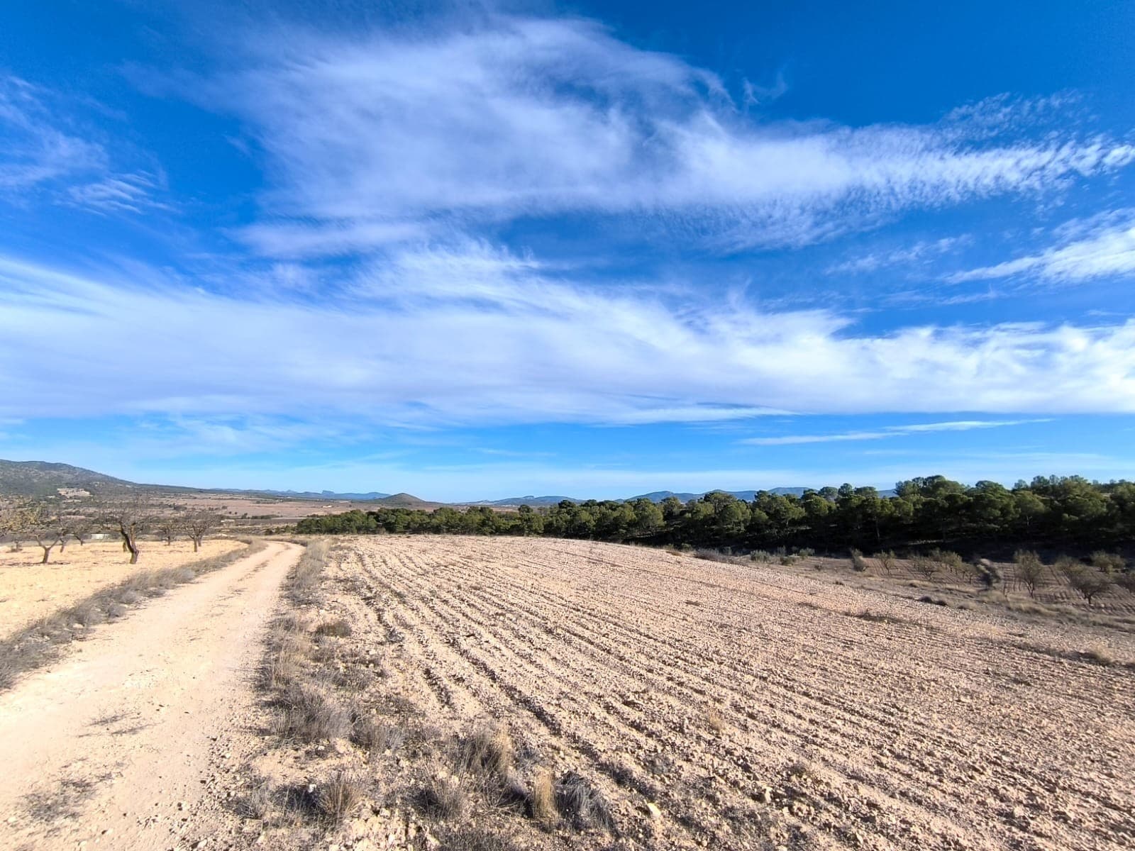 Explore the boundless possibilities of this vast plot of land nestled in the picturesque village of Raspay. Encompassing an impressive 31,700 square meters, this property offers a wealth of opportunities for development and investment.Situated in the tranquil countryside of Raspay, this plot provides a serene escape from the hustle and bustle of urban life while remaining conveniently close to essential amenities.With its ample size, this plot is perfect for various projects, from crafting your dream home to cultivating an agricultural oasis or even exploring commercial ventures. The potential here is limited only by your imagination.Benefiting from nearby water and electricity connections, this property streamlines the process of bringing your plans to life. Additionally, its zoning permits construction up to 2% on two floors, ensuring plenty of space for building while preserving the natural allure of the landscape.Whether you seek solace in rural living, aspire to embark on a new business venture, or yearn to create a one-of-a-kind living space, this plot of land in Raspay offers an unparalleled opportunity to transform your vision into reality.Seize the chance to leave your mark on this serene corner of Raspay. Contact us today to take the first step toward unlocking the potential of this extraordinary property.We have a large portfolio of properties in the Costa Blanca and Costa Calida areas, specialising in country properties, villas, fincas, building plots and design and build options in the Alicante and Murcia regions with a particular emphasis on Elda, Monovar, Pinoso, Sax, Villena, Aspe, Fortuna, Albacete and many more surrounding areas. We have been established since 2004 and have decades of experience between the team which we bring to bear to help you find and secure your new dream home. We help you every step of the way to make sure your purchase in Spain is safe and hassle free. We are not here to sell you a property, we are here to help you realise your dream and find what is right for you. With us you are in the safest hands. Contact us now to have a no obligation chat about how you too can realise your dreams.