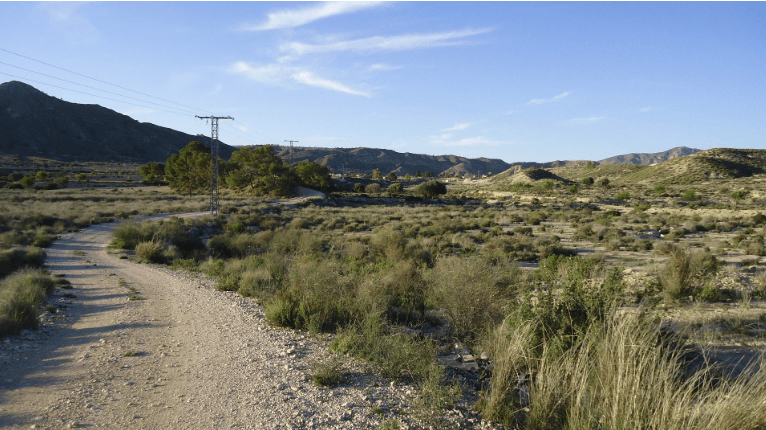 This 7,575 m² urbanizable plot is located in a quiet countryside area of Abanilla. It offers direct access to a public road and is just 100 meters from a paved street, ensuring easy travel and reliable connections to nearby services. Building regulations allow construction on up to 25% of the land and permit up to two floors, providing flexibility for planning a tailored residential project. Water and electricity connection points are located at the entrance of the access road, making future installation straightforwardWith open surroundings and generous space, the plot offers the privacy many buyers value while still maintaining convenient access to the town center. Essential amenities, shops, and local services are only a short drive away.About the Area Abanilla is known for its peaceful atmosphere, natural landscapes, and a lifestyle closely connected to the rural environment. The town provides essential services, local markets, cafés, and cultural activities throughout the year. This combination of calm, nature, and good accessibility makes it an appealing option for anyone looking to build a home in a serene yet well-connected location.We have a large portfolio of properties in the Costa Blanca and Costa Calida areas, specialising in country properties, villas, fincas, building plots and design and build options in the Alicante and Murcia regions with a particular emphasis on Elda, Monovar, Pinoso, Sax, Villena, Aspe, Fortuna, Albacete and many more surrounding areas. We have been established since 2004 and have decades of experience between the team which we bring to bear to help you find and secure your new dream home. We help you every step of the way to make sure your purchase in Spain is safe and hassle free. We are not here to sell you a property, we are here to help you realise your dream and find what is right for you. With us you are in the safest hands. Contact us now to have a no obligation chat about how you too can realise your dreams.