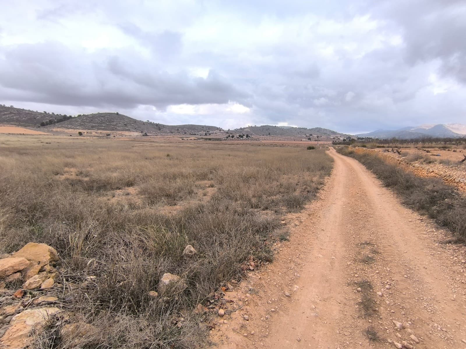 Legal building plot of 17555 m2 for sale in a picturesque valley, near Pinoso. The land, currently fallow, offers privacy, tranquility, and stunning mountain views. It is flat and easy to build on. Convenient access by a dirt road. Water and electricity are in the area.You are allowed to build up to 250 m2 on a single level (or 200 m2 over 2 levels), including the living unit, swimming pool, a garage etc. We can help you with the building design and connect you with architects, builders, solar panels company etc. If you liked this property, do not hesitate to contact us to organize a visit, we will be happy to help you!Distances:La Solana (the closest village with a bar) - 1.5 kmAlgueña (the closest larger village with a supermarket) - 5 kmPinoso (the closest town with markets, schools, clinics, vet, gyms, etc.) - 7 km, 8 minElche (the closest city) - 40 minAlicante airport - 50 minBeach - 52 minAbout the area: Pinoso (Alicante, Spain), known for its stunning countryside, and welcoming atmosphere, offers a perfect blend of traditional Spanish culture and modern conveniences. Surrounded by picturesque vineyards and rolling hills, Pinoso is renowned for its quality of life, with excellent local amenities, schools, and easy access to both the vibrant cities of Alicante and Elche, as well as beautiful Mediterranean beaches. Whether you're seeking a peaceful rural retreat or a family-friendly community, Pinoso is an ideal place to invest in property, combining serene living with great potential for growth.About us: We have a large portfolio of properties in the Costa Blanca and Costa Calida areas, specialising in country properties, villas, fincas, building plots and design and build options in the Alicante and Murcia regions with a particular emphasis on Elda, Monovar, Pinoso, Sax, Villena, Aspe, Fortuna, Albacete and many more surrounding areas. We have been established since 2004 and have decades of experience between the team which we bring to bear to help you find and secure your new dream home. We help you every step of the way to make sure your purchase in Spain is safe and hassle free. We are not here to sell you a property, we are here to help you realise your dream and find what is right for you. With us you are in the safest hands. Contact us now to have a no obligation chat about how you too can realise your dreams.