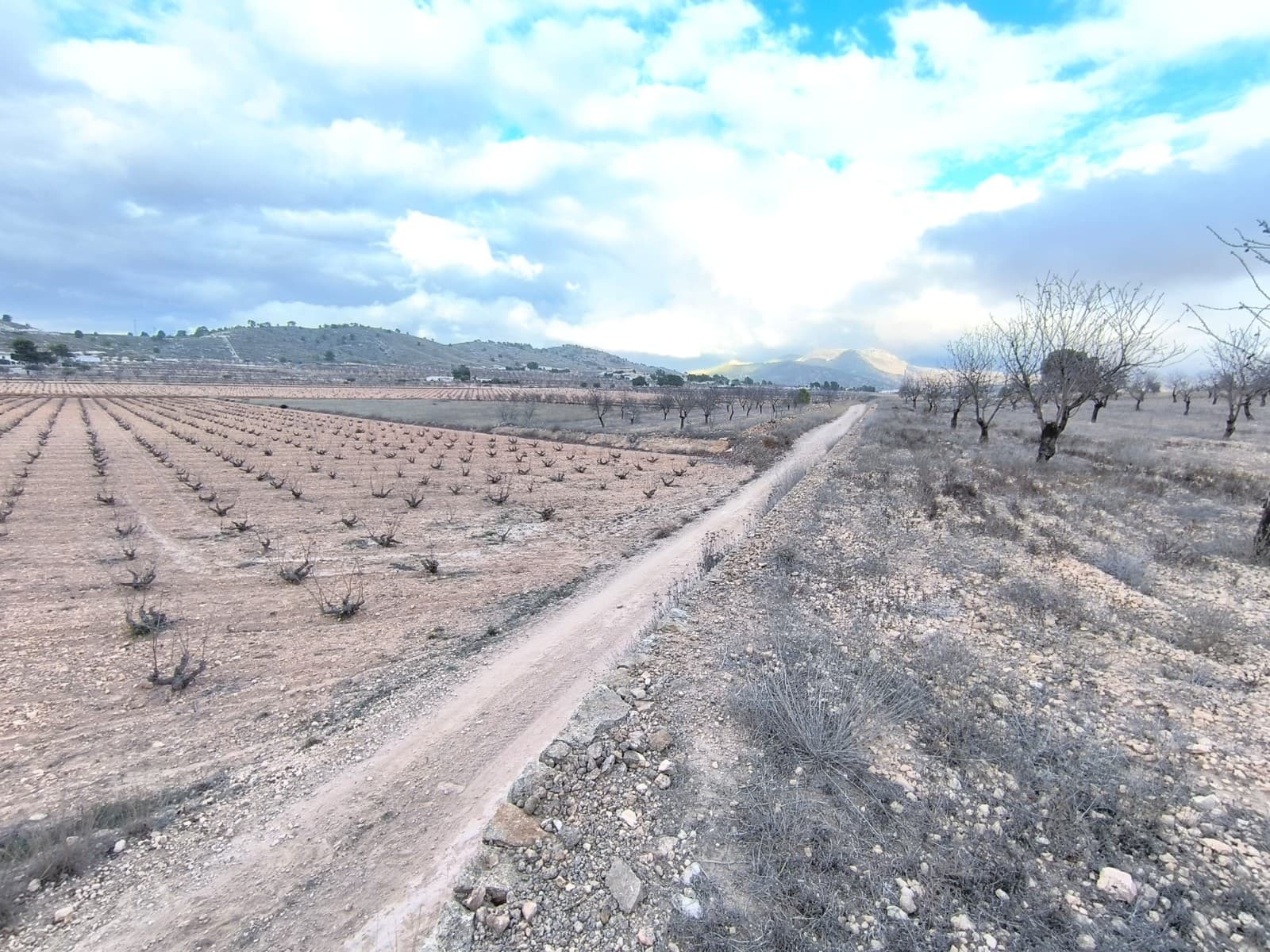 Are you looking for a Legal building plot? We offer a parcel of 11510 m2 for sale in a picturesque valley, near Pinoso. The land, planted with almond trees, offers privacy, tranquility, and stunning mountain views. It is in a slight slope and easy to build on. Convenient access by a dirt road. Water and electricity are in the area.You are allowed to build up to 250 m2 on a single level (or 200 m2 over 2 levels), including the living unit, swimming pool, a garage etc. We can help you with the building design and connect you with architects, builders, solar panels company etc. If you liked this property, do not hesitate to contact us to organize a visit, we will be happy to help you!Distances:La Solana (the closest village with a bar) - 1 kmAlgueña (the closest larger village with a supermarket) - 4 kmPinoso (the closest town with markets, schools, clinics, vet, gyms, etc.) - 6 km, 7 minElche (the closest city) - 40 minAlicante airport - 50 minBeach - 52 minAbout the area: Pinoso (Alicante, Spain), known for its stunning countryside, and welcoming atmosphere, offers a perfect blend of traditional Spanish culture and modern conveniences. Surrounded by picturesque vineyards and rolling hills, Pinoso is renowned for its quality of life, with excellent local amenities, schools, and easy access to both the vibrant cities of Alicante and Elche, as well as beautiful Mediterranean beaches. Whether you're seeking a peaceful rural retreat or a family-friendly community, Pinoso is an ideal place to invest in property, combining serene living with great potential for growth.About us: We have a large portfolio of properties in the Costa Blanca and Costa Calida areas, specialising in country properties, villas, fincas, building plots and design and build options in the Alicante and Murcia regions with a particular emphasis on Elda, Monovar, Pinoso, Sax, Villena, Aspe, Fortuna, Albacete and many more surrounding areas. We have been established since 2004 and have decades of experience between the team which we bring to bear to help you find and secure your new dream home. We help you every step of the way to make sure your purchase in Spain is safe and hassle free. We are not here to sell you a property, we are here to help you realise your dream and find what is right for you. With us you are in the safest hands. Contact us now to have a no obligation chat about how you too can realise your dreams.