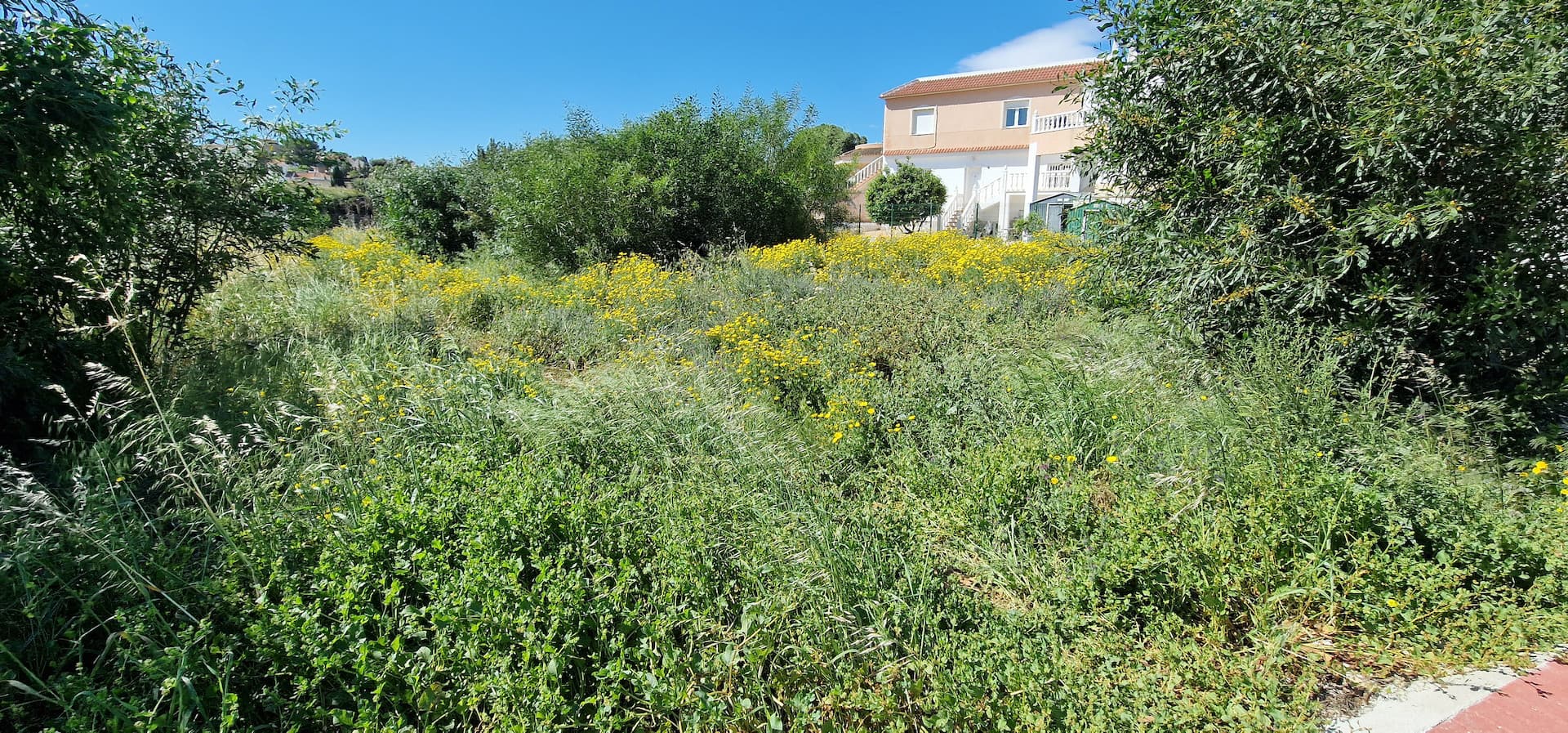 1000 m² plot40% occupancyWith access to electricity, water, drainage, sidewalks, and street lightingPreliminary plans for a 240 m² house183 m² basementTotal 423 m² of construction4 bedrooms4 bathrooms1 toiletSeparate kitchenSpacious living roomPantry2 terracesViews of the salt flats and the sea150 m from Mercadona supermarket500 m from Torrevieja Hospital
