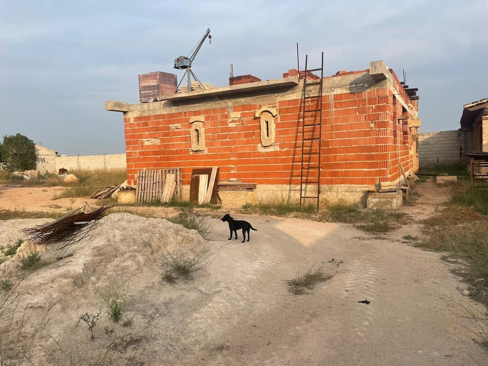 19 000 square meter plot with a house in Orihuela A rural lot with great potential, ideal for those looking to build their home in a quiet setting with good access. The property is free of encumbrances and already has a structure in progress, with the foundation and framework built according to the planned specifications, presenting an excellent opportunity to continue the construction, complete it, and proceed with its legalization. Currently, the planned home is designed as a single-story structure, offering a perfect foundation for designing a comfortable, functional home tailored to your needs. The lot has water and electricity service, providing a significant advantage for resuming the project without delay. Located in an area accessible by paved roads, it combines the convenience of good transportation links with the tranquility of a rural setting. A very attractive option both for investment and for building your dream home surrounded by nature.