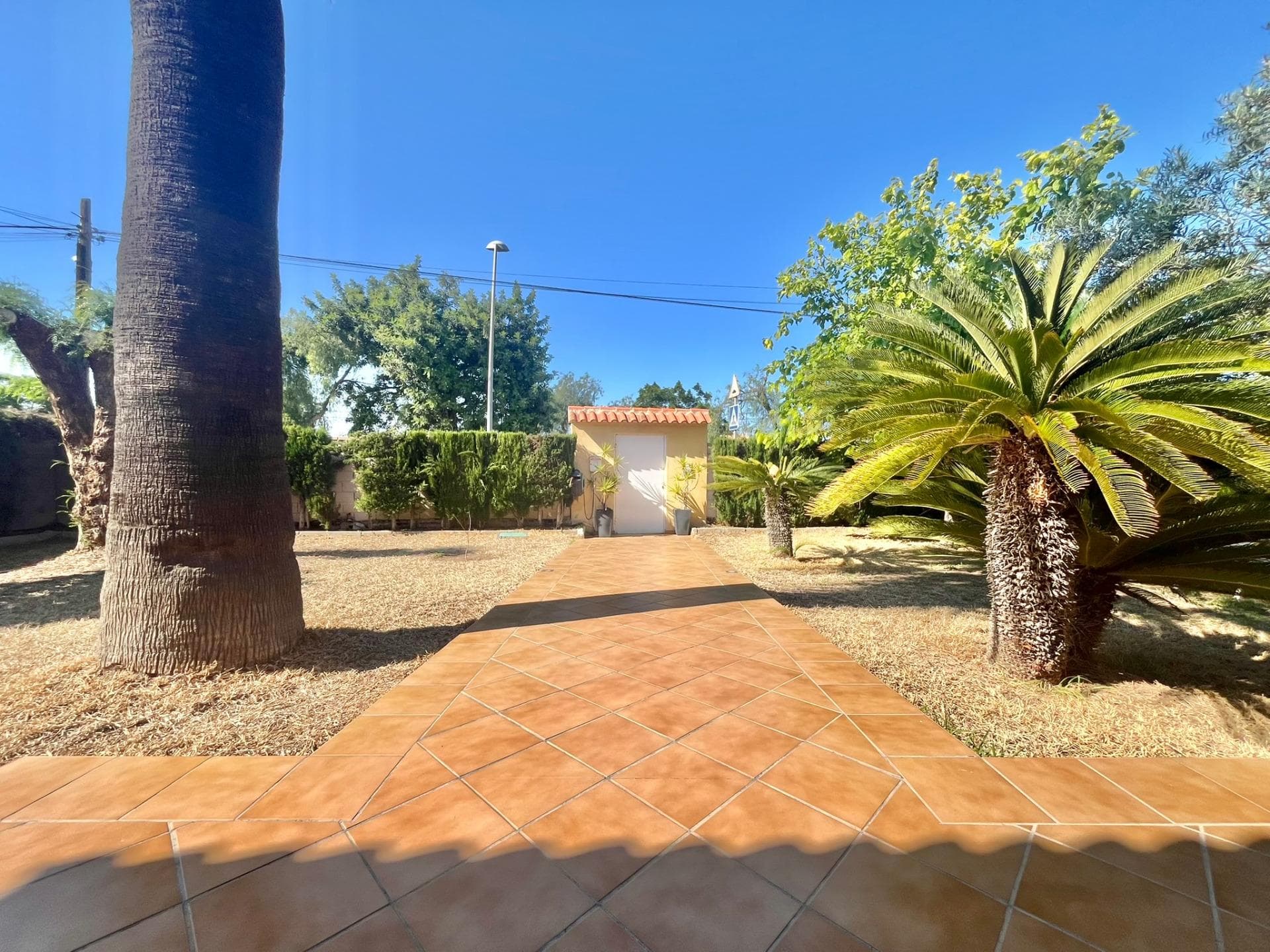 We present this beautiful villa located in the peaceful and sought-after area of Los Balcones, just steps away from Torrevieja Hospital and only a few minutes' drive from the stunning beaches of Torrevieja and the exclusive Orihuela Costa—where the sea and sun are part of everyday life. The property sits on a spacious 800 m² plot, fully landscaped with natural grass, garden areas, and a charming rustic-style barbecue zone—perfect for enjoying outdoor living with family and friends. The house offers 180 m² of built area, featuring a large living room with fireplace, an independent and generously sized kitchen, and very spacious bedrooms, including a master suite with private bathroom. Built-in wardrobes provide ample storage, and the property includes air conditioning, solar panels for hot water, and a propane tank. There is also a closed garage and plenty of space for parking on the plot. The plot offers more than enough space to build a private swimming pool, ideal for enjoying the Mediterranean climate. There's also the possibility of adding a second floor, which would provide breathtaking views of the pink salt lake of Torrevieja and the sea. A property with great potential, located in a well-established and quiet residential area—perfect as a permanent home or investment opportunity. Come and discover all that this villa has to offer. A unique opportunity in the heart of the Costa Blanca.