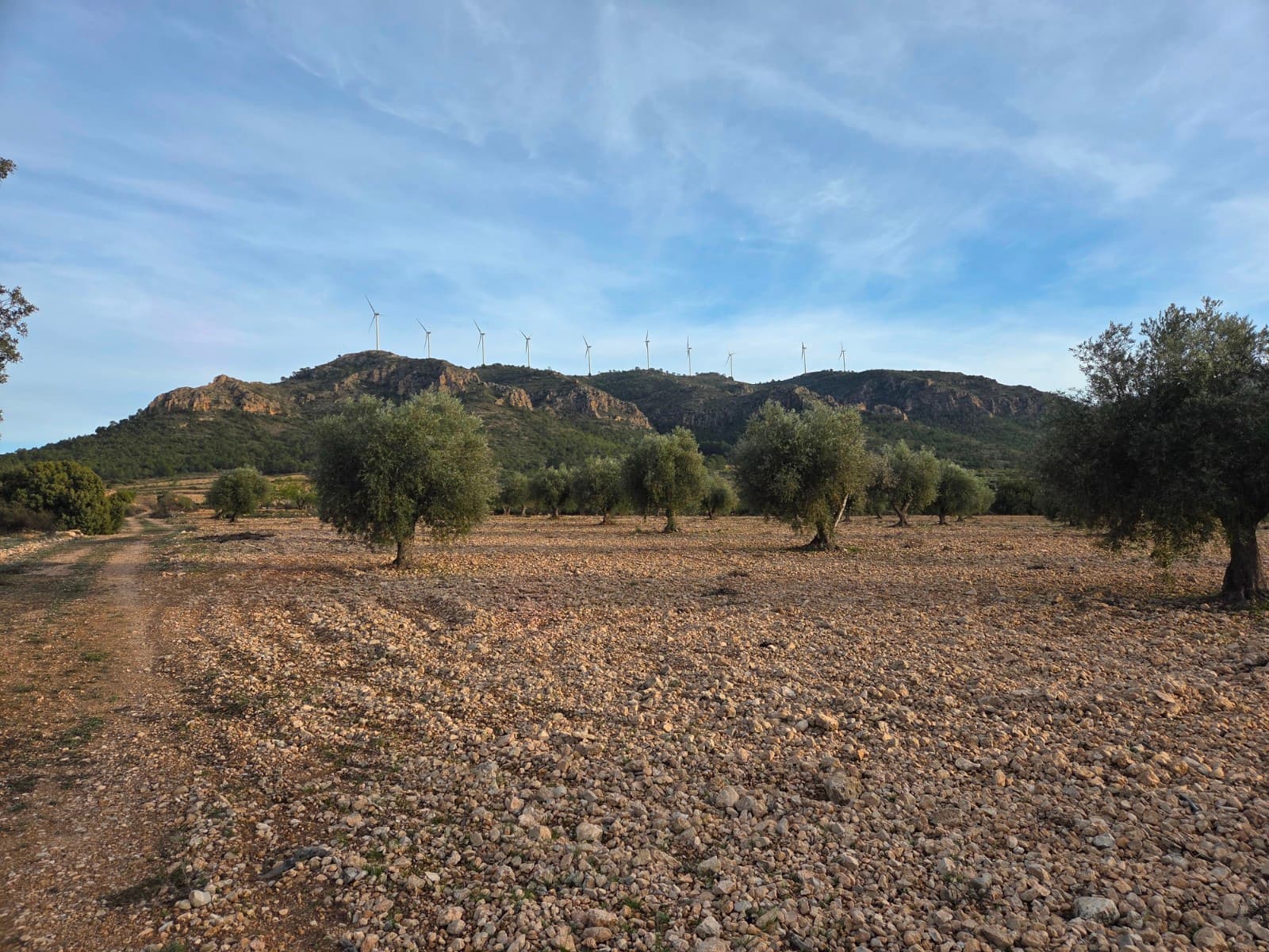 This olive grove located in the country side of Jumilla, Murcia offers beautiful views on the mountains and country side. Surrounded by olive trees, grape vines and almond trees. The plot is a little over 15 hectares (150.113m2). You can build a huge estate here with pool, garage, guest house and more!The plot has no electricity nor water connection, so you'd be fully off-grid. Please note: next to the plot there is a solar panel field, as shown on the drone picture.