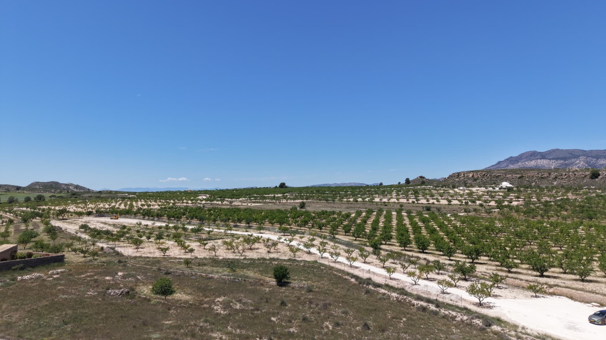 Expansive 17,589 m² Building Plot in Pinoso – Including Modern Design ProjectAre you looking to build your dream home in Spain? This oversized plot offers nearly 1.8 hectares of private land, providing total tranquility and breathtaking views. To streamline your building process, the plot comes with a professionally designed project for a luxury modern villa.Key features of the project include:Main Residence: A spacious, contemporary layout focused on light and flow.Outdoor Living: An elegant private pool area designed for relaxation and entertainment.Guest Accommodations: A self-contained guest house to welcome friends and family in comfort.Ample Parking: An integrated large garage with additional storage space.This is a rare opportunity to acquire a significant land holding with a ready-to-go architectural concept.