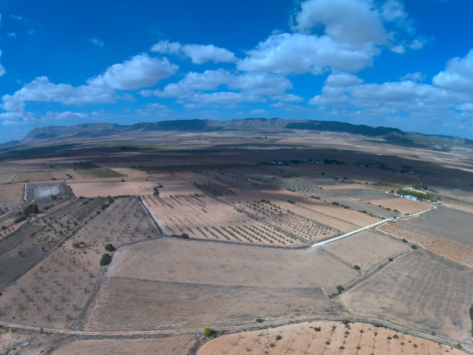 We have a large portfolio of properties in the Costa Blanca and Costa Calida areas, specialising in country properties, villas, fincas, building plots and design and build options in the Alicante and Murcia regions with a particular emphasis on Elda, Monovar, Pinoso, Sax, Villena, Aspe, Fortuna, Albacete and many more surrounding areas. We have been established since 2004 and have decades of experience between the team which we bring to bear to help you find and secure your new dream home. We help you every step of the way to make sure your purchase in Spain is safe and hassle free. We are not here to sell you a property, we are here to help you realise your dream and find what is right for you. With us you are in the safest hands. Contact us now to have a no obligation chat about how you too can realise your dreams