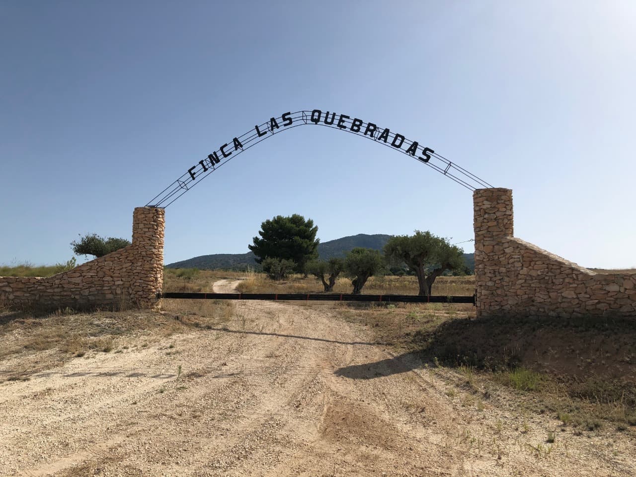 Finca Las Quebradas between Pinoso and Yecla. This expansive property near the Sierra Salinas natural park in Las Quebradas (Yecla) offers an excellent investment opportunity in a peaceful, non-mining area with stunning 360º views. The land covers a total of 407,580 m², including 82,803 m² of almond plantation, 5,589 m² of olive trees, 5,594 m² of scrubland, and 313,594 m² of tilled land suitable for growing cereals, vineyards, olive trees, almonds, or other crops. The property is building-approved and has access to electricity with a nearby transformer. Although it currently lacks drinking and irrigation water, there is potential to apply for a well permit of up to 7,000 m³ for domestic or animal use. Access is convenient via a well-maintained paved road, with neighboring homes adding to the quiet, rural charm. Essential services are available in the nearby town of Pinoso, just 5 km away.We have a large portfolio of properties in the Costa Blanca and Costa Calida areas, specialising in country properties, villas, fincas, building plots and design and build options in the Alicante and Murcia regions with a particular emphasis on Elda, Monovar, Pinoso, Sax, Villena, Aspe, Fortuna, Albacete and many more surrounding areas. We have been established since 2004 and have decades of experience between the team which we bring to bear to help you find and secure your new dream home. We help you every step of the way to make sure your purchase in Spain is safe and hassle free. We are not here to sell you a property, we are here to help you realise your dream and find what is right for you. With us you are in the safest hands. Contact us now to have a no obligation chat about how you too can realise your dreams.