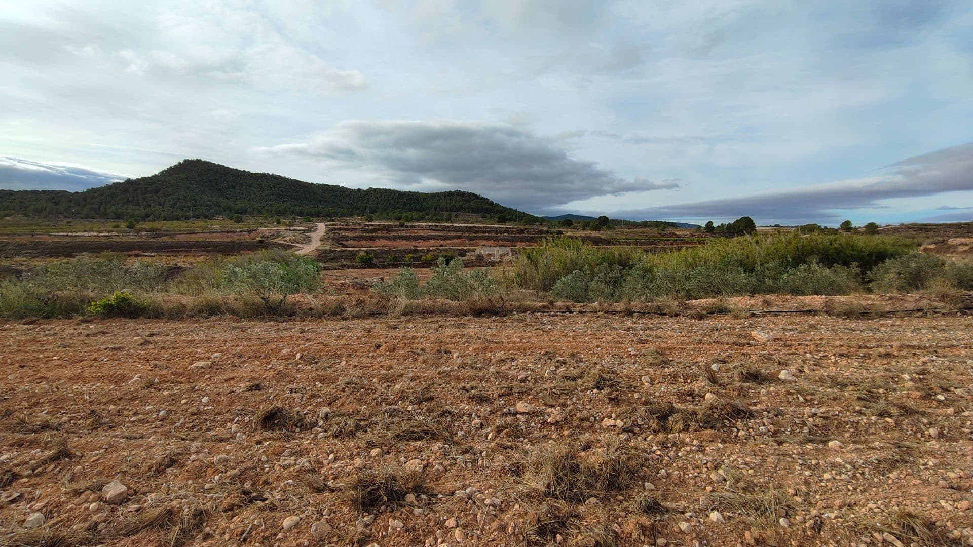 Building plot with irrigation water of 22,293 m² in Monóvar (Alicante)Large building plot located in the municipality of Monóvar, between Monóvar and Pinoso, with a total area of 22,293 m². The property has irrigation water and the electricity grid is 250 meters away, offering excellent access from a paved road. It is located in a quiet, well-connected rural area with several homes nearby.The plot can be divided into two building plots, making it an ideal option for both residential use and rural investment.The land combines different cultivation areas: one part is planted with irrigated olive trees, another with irrigated vineyards, and a third area remains unplanted, offering flexibility for future projects.With beautiful views of the natural surroundings, this property combines space, accessibility, and surroundings, in a perfect location for those looking to enjoy the countryside without sacrificing comfort.We have a large portfolio of properties in the Costa Blanca and Costa Calida areas, specialising in country properties, villas, fincas, building plots and design and build options in the Alicante and Murcia regions with a particular emphasis on Elda, Monovar, Pinoso, Sax, Villena, Aspe, Fortuna, Albacete and many more surrounding areas. We have been established since 2004 and have decades of experience between the team which we bring to bear to help you find and secure your new dream home. We help you every step of the way to make sure your purchase in Spain is safe and hassle free. We are not here to sell you a property, we are here to help you realise your dream and find what is right for you. With us you are in the safest hands. Contact us now to have a no obligation chat about how you too can realise your dreams.