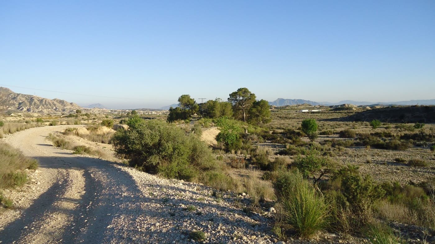 Presenting you this bargain legal building plot in tranquil setting north of Abanilla! You can build up to 250 m2 on one level (or 200 m2 on 2 levels). Beautiful views, calm rural area, and a great opportunity for sustainable off-grid living.Main tarmac road - 200 mMahoya (the closest village) - 3 kmAbanilla (the closest town with all the daily amenities) - 8 min driveMurcia (the closest city) - 30 minAlicante airport - 45 minBeach - 45 minAbout the Area: Abanilla is a charming Spanish town known for its rich history, traditional architecture, and peaceful Mediterranean lifestyle. Surrounded by olive groves, and scenic mountain views, Abanilla offers a tranquil rural atmosphere just 30 minutes from the beaches of the Costa Blanca and the city of Murcia. The area boasts a welcoming community, excellent local amenities, and affordable property prices—ideal for those seeking an authentic Spanish experience, whether for a holiday home, retirement, or investment opportunity.About us: We have a large portfolio of properties in the Costa Blanca and Costa Calida areas, specialising in country properties, villas, fincas, building plots and design and build options in the Alicante and Murcia regions with a particular emphasis on Elda, Monovar, Pinoso, Sax, Villena, Aspe, Fortuna, Albacete and many more surrounding areas. We have been established since 2004 and have decades of experience between the team which we bring to bear to help you find and secure your new dream home. We help you every step of the way to make sure your purchase in Spain is safe and hassle free. We are not here to sell you a property, we are here to help you realise your dream and find what is right for you. With us you are in the safest hands. Contact us now to have a no obligation chat about how you too can realise your dreams.