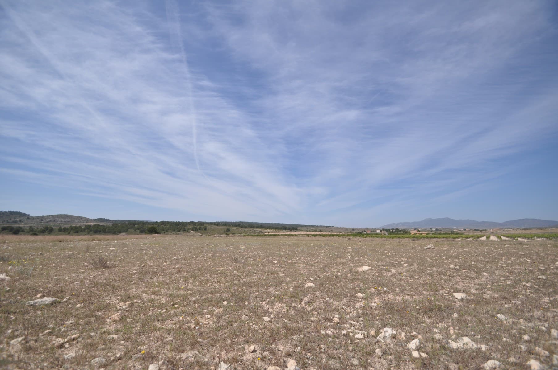 Set in the peaceful countryside just 8km from the charming town of Pinoso, this generous 13,809m² legal building plot presents an excellent opportunity to create your ideal home in the heart of inland Alicante.The plot already benefits from a previously approved project for a villa, offering a valuable starting point for buyers. While the project will need to be renewed in order to obtain a new building licence, it provides a clear pathway to development and can help streamline the process.Positioned in a highly desirable area, the land enjoys beautiful open views across vineyards, orchards, and nearby regional parks—perfect for those seeking a tranquil setting with a true Mediterranean landscape. Access is straightforward via a tarmac road, ensuring convenience all year round.In terms of infrastructure, the plot is well-prepared for development. Water is already available on site, with electricity connections close by, and both internet and telephone services readily accessible—making it easy to plan a comfortable, modern home in a rural environment.The nearby town of Pinoso offers all essential day-to-day amenities, including supermarkets, restaurants, medical facilities, and local markets, while still maintaining its authentic Spanish charm.As established builders in the region since 2004, we are uniquely positioned to support you throughout the entire process—from project renewal and planning to construction and completion. Our extensive local knowledge and hands-on experience allow us to guide clients with confidence, helping turn your vision of a dream home in Spain into reality.This is a rare opportunity to secure a well-located, fully legal plot with strong development potential in one of Alicante's most sought-after inland areas.Contact us today to arrange a viewing or discuss your building project in more detail.We are specialists in the Costa Blanca and Costa Calida specialising in the Alicante and Murcia Inland regions with a particular emphasis on Elda, Pinoso, Aspe, Elche and surrounding areas. We are an established, well known and trusted company that has built a solid reputation amongst buyers and sellers since we began trading in 2004. We offer a complete service with no hidden charges or surprises, starting with sourcing the property, right through to completion, and an unrivalled after sales service which includes property management, building services, and general help and advice to make your new house a home. With a portfolio of well over 1400 properties for sale, we are confident that we can help, so just let us know your preferred property, budget and location, and we will do the rest.