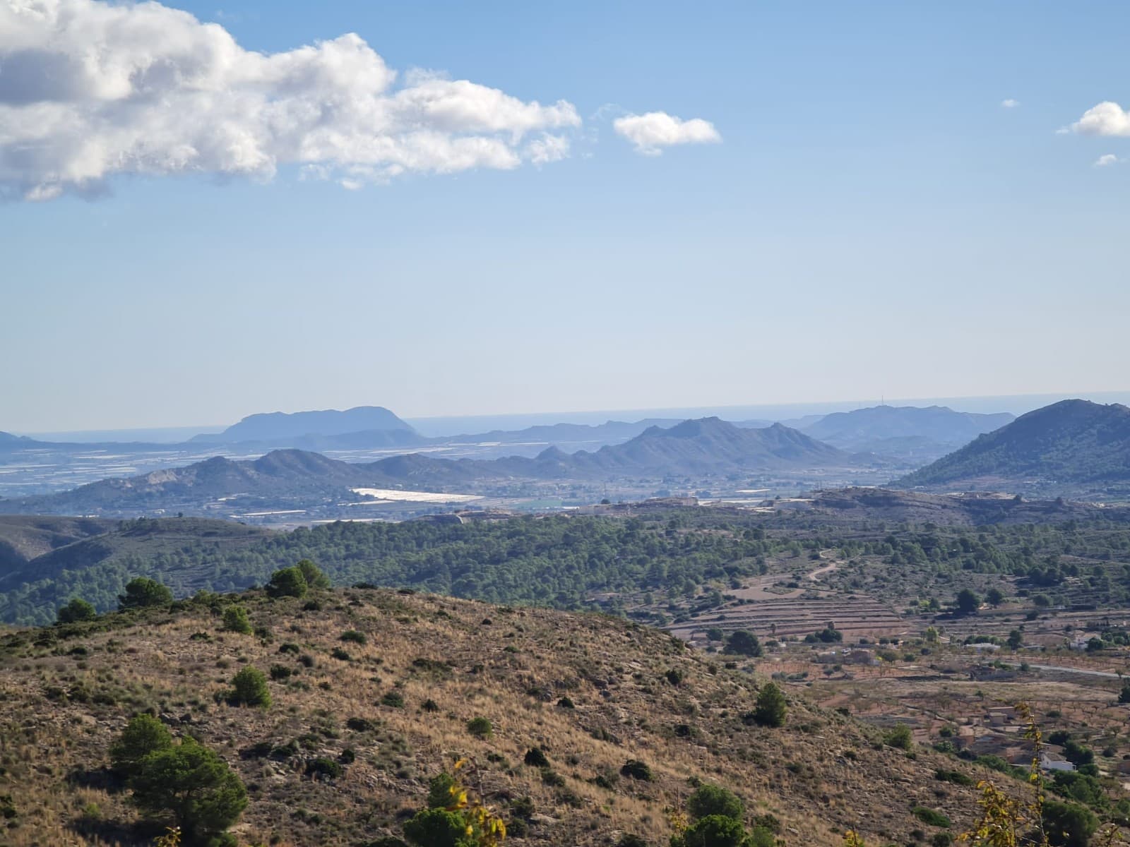 Discover the potential of this exceptional plot of land spanning 12598m2, offering a canvas for your vision in the serene Spanish Mediterranean countryside. One of the standout features of this property is the picturesque views of the Spanish Mediterranean countryside. Imagine enjoying breathtaking sunsets and panoramic landscapes from the comfort of your own land. Located on the side of the mountain, the views are truly spectacular! Whether you envision cultivating the land for agricultural use or dream of building a custom home surrounded by natural beauty, this plot offers a wealth of possibilities. Seize the opportunity to explore the potential of this prime piece of real estate. Contact us today to arrange a viewing and witness firsthand the charm and potential this property holds.We have a large portfolio of properties in the Costa Blanca and Costa Calida areas, specialising in country properties, villas, fincas, building plots and design and build options in the Alicante and Murcia regions with a particular emphasis on Elda, Monovar, Pinoso, Sax, Villena, Aspe, Fortuna, Albacete and many more surrounding areas. We have been established since 2004 and have decades of experience between the team which we bring to bear to help you find and secure your new dream home. We help you every step of the way to make sure your purchase in Spain is safe and hassle free. We are not here to sell you a property, we are here to help you realise your dream and find what is right for you. With us you are in the safest hands. Contact us now to have a no obligation chat about how you too can realise your dreams.