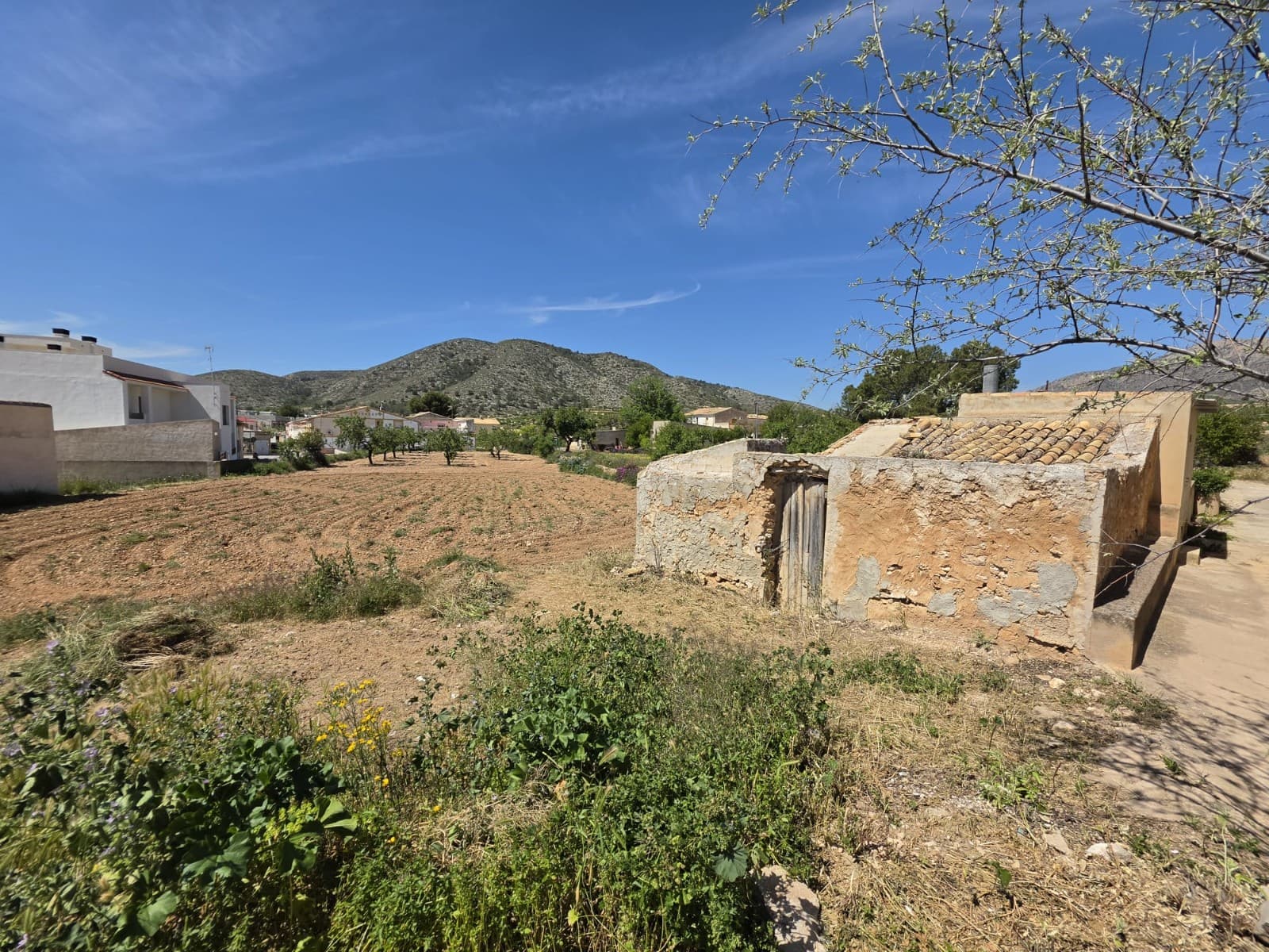 Urban Plot for Sale in La Canalosa – 280 m²This urban plot of approximately 280 m² is located in the peaceful village of La Canalosa, surrounded by beautiful countryside and mountain views. The plot includes a small existing hut/storage building and offers a variety of potential uses, subject to local planning regulations.Its village location provides easy access while maintaining a quiet and traditional atmosphere. Whether you are looking for a private outdoor space, a garden, storage area, or a future development opportunity, this plot offers excellent potential in a charming rural setting.About the AreaLa Canalosa is a small and friendly village located in the Hondón Valley, known for its relaxed lifestyle, scenic surroundings, and welcoming community. The nearby towns of Hondón de las Nieves and Hondón de los Frailes offer shops, restaurants, medical facilities, and other everyday services. Surrounded by vineyards, almond groves, and mountains, the area is ideal for those seeking the authentic Spanish countryside while remaining within easy reach of Alicante airport and the Costa Blanca coast.We are specialists in the Costa Blanca and Costa Calida specialising in the Alicante and Murcia Inland regions with a particular emphasis on Elda, Pinoso, Aspe, Elche and surrounding areas. We are an established, well known and trusted company that has built a solid reputation amongst buyers and sellers since we began trading in 2004. We offer a complete service with no hidden charges or surprises, starting with sourcing the property, right through to completion, and an unrivalled after sales service which includes property management, building services, and general help and advice to make your new house a home. With a portfolio of well over 1400 properties for sale, we are confident that we can help, so just let us know your preferred property, budget and location, and we will do the rest.