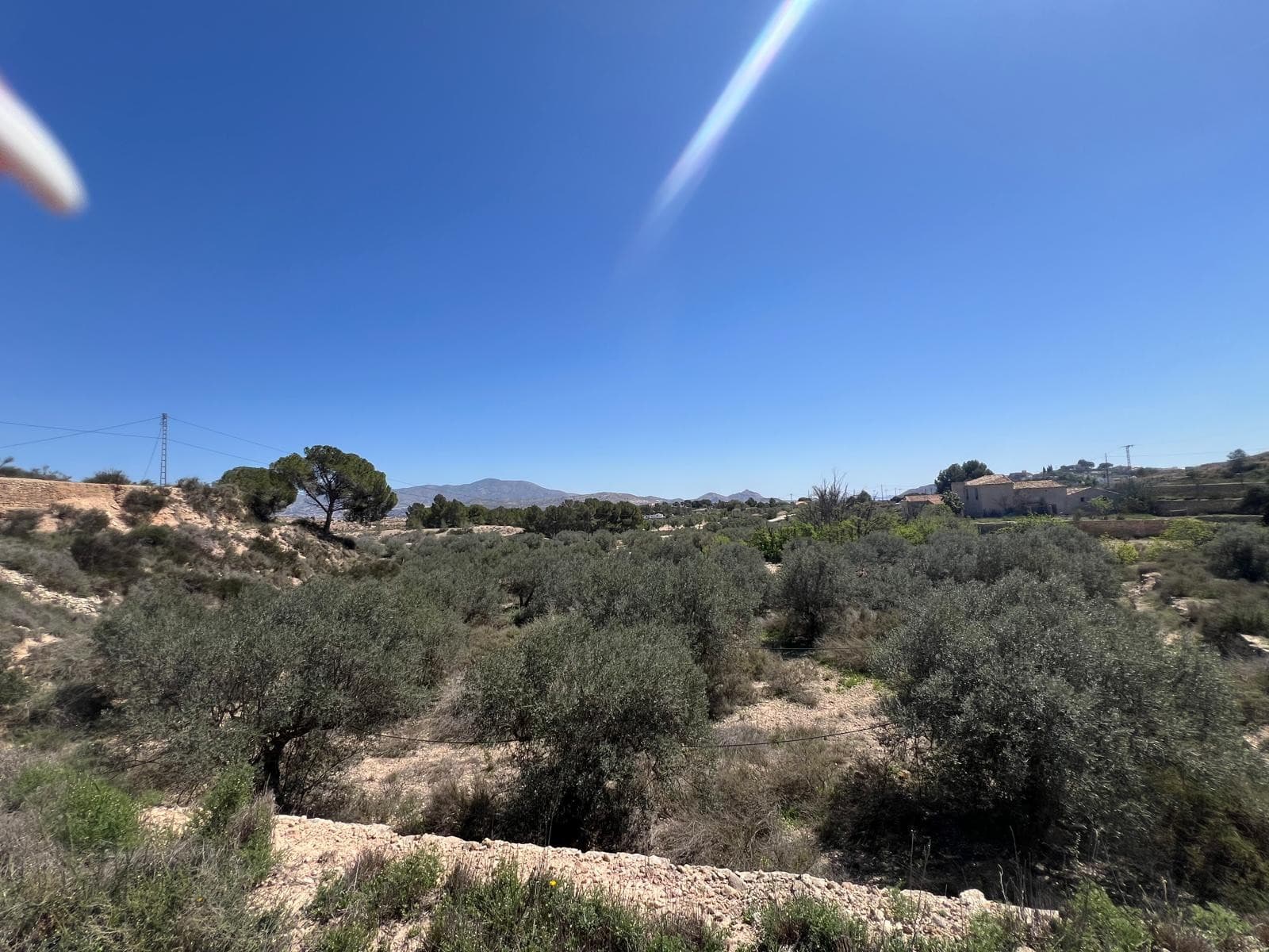 Building plot of 14,358 m² for sale, located just five minutes on foot from the town center of Monóvar. The land offers a generous surface area with multiple building possibilities, suitable for a detached home or other projects in accordance with current urban planning regulations. Its close proximity to the town allows for a quiet setting while still enjoying easy access to everyday services.Location and Area The plot is set in a well-connected area, a short walk from Monóvar, where you will find shops, schools, medical services, restaurants, and all essential amenities. Monóvar is a well-established town with good road connections to nearby towns and major cities in the province, making it a practical choice for both permanent residence and investment.We have a large portfolio of properties in the Costa Blanca and Costa Calida areas, specialising in country properties, villas, fincas, building plots and design and build options in the Alicante and Murcia regions with a particular emphasis on Elda, Monovar, Pinoso, Sax, Villena, Aspe, Fortuna, Albacete and many more surrounding areas. We have been established since 2004 and have decades of experience between the team which we bring to bear to help you find and secure your new dream home. We help you every step of the way to make sure your purchase in Spain is safe and hassle free. We are not here to sell you a property, we are here to help you realise your dream and find what is right for you. With us you are in the safest hands. Contact us now to have a no obligation chat about how you too can realise your dreams.