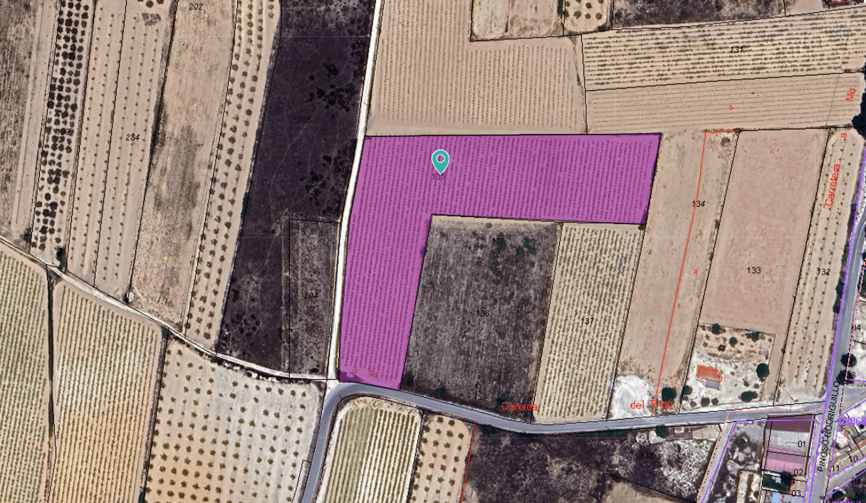 This plot of land is located in Rodriguillo, Pinoso, and offers a total surface area of 13,229 m². The land is suitable for construction, making it ideal for a private home or other projects permitted under local regulations. The property has irrigation water, which is especially useful for agricultural use, gardens, or landscaped outdoor areas. With good access and generous space, it provides flexibility to develop a project tailored to your needs.The Area Rodriguillo is a small rural district within the municipality of Pinoso, known for its quiet surroundings and relaxed pace of life. The area features open countryside and scattered homes, offering privacy and a natural setting. Pinoso town is just a short drive away and provides all essential services, including shops, schools, restaurants, and medical facilities, allowing you to enjoy a peaceful environment while remaining well connected to daily amenities.If you liked this property, do not hesitate to contact us to organize a visit, we will be happy to help you!We have a large portfolio of properties in the Costa Blanca and Costa Calida areas, specialising in country properties, villas, fincas, building plots and design and build options in the Alicante and Murcia regions with a particular emphasis on Elda, Monovar, Pinoso, Sax, Villena, Aspe, Fortuna, Albacete and many more surrounding areas. We have been established since 2004 and have decades of experience between the team which we bring to bear to help you find and secure your new dream home. We help you every step of the way to make sure your purchase in Spain is safe and hassle free. We are not here to sell you a property, we are here to help you realise your dream and find what is right for you. With us you are in the safest hands. Contact us now to have a no obligation chat about how you too can realise your dreams.