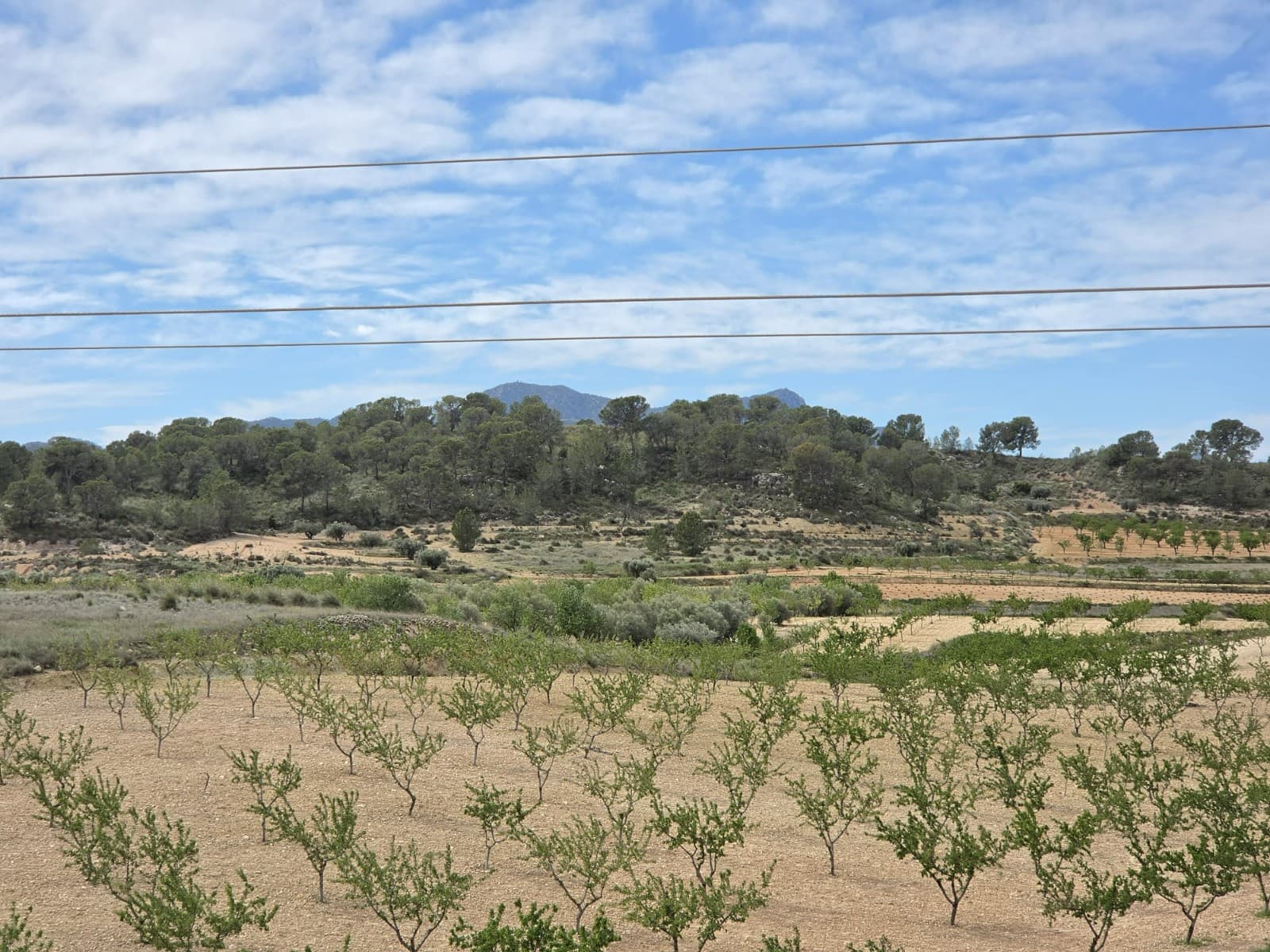 Building plot for sale in the peaceful hamlet of Cañada del Trigo, (Jumilla), surrounded by vineyards and beautiful countryside, the perfect place for those seeking peace and privacy without giving up nearby services. We already have the certificate from the Town Hall confirming that the plot can be built upon. This plot is a great opportunity to build the home of your dreams in a privileged setting, with the chance to design and create a property tailored to your needs. It is located just 12 minutes from the charming town of Pinoso, where you will find all amenities: supermarkets, schools, health centre, restaurants, and local shops. Its location offers the ideal balance between the serenity of the countryside and the convenience of having everything close at hand, making it a perfect option both for a permanent residence or a holiday home.If you liked this property, do not hesitate to contact us to organize a visit, we will be happy to help you!We have a large portfolio of properties in the Costa Blanca and Costa Calida areas, specialising in country properties, villas, fincas, building plots and design and build options in the Alicante and Murcia regions with a particular emphasis on Elda, Monovar, Pinoso, Sax, Villena, Aspe, Fortuna, Albacete and many more surrounding areas. We have been established since 2004 and have decades of experience between the team which we bring to bear to help you find and secure your new dream home. We help you every step of the way to make sure your purchase in Spain is safe and hassle free. We are not here to sell you a property, we are here to help you realise your dream and find what is right for you. With us you are in the safest hands. Contact us now to have a no obligation chat about how you too can realise your dreams.