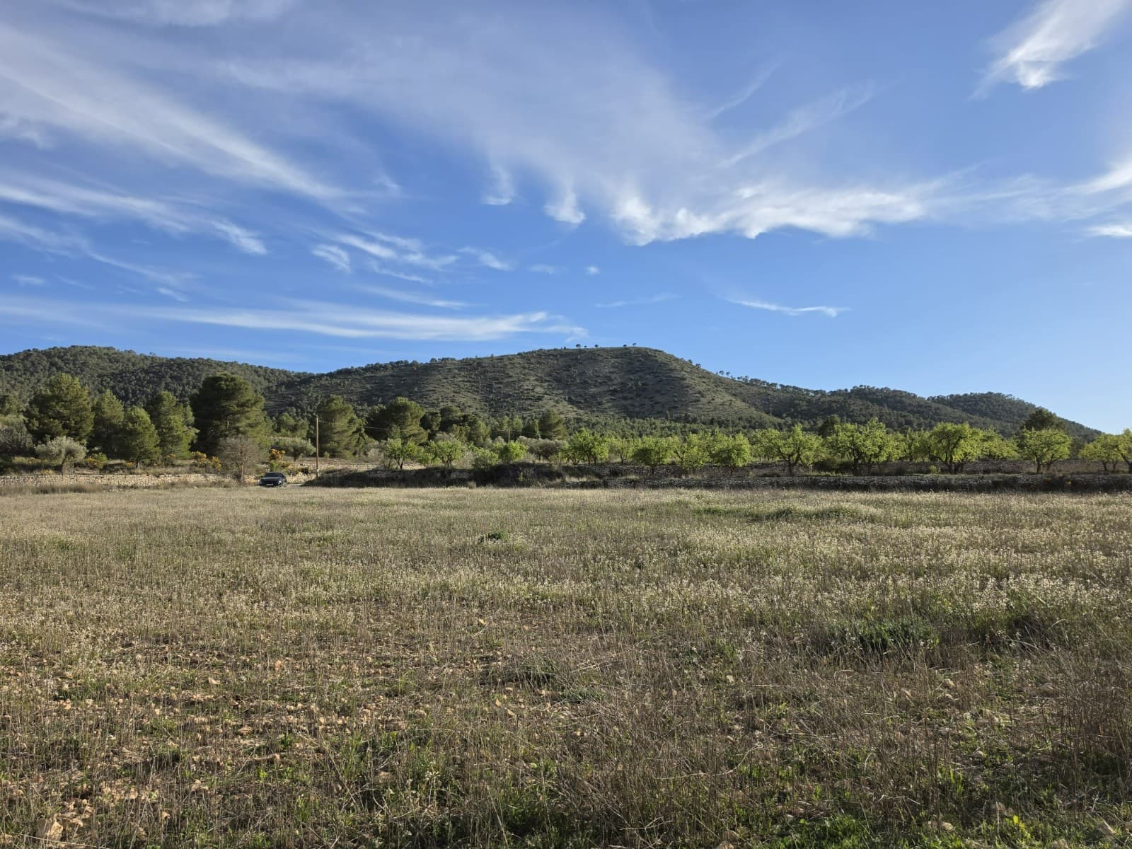 Agricultural Plot Near Monóvar – 8,802 m²This well-sized agricultural plot is located near Monóvar, close to the village of Casas del Señor, offering a peaceful countryside setting with open views. The land measures 8,802 m² and includes a few pine trees, providing natural shade and character to the plot.The size of the land makes it suitable for agricultural use, planting trees, or creating a private outdoor space to enjoy the surrounding nature. It offers a quiet environment while still being easily accessible from nearby towns.About the Area Casas del Señor is a small and traditional village known for its relaxed atmosphere and local charm, with a selection of restaurants and basic amenities. The nearby town of Monóvar provides a wider range of services, including shops, schools, and medical facilities. The area is surrounded by vineyards, almond groves, and rolling countryside, making it ideal for those who enjoy a slower pace of life. Alicante city, the airport, and the coast are all within comfortable driving distance, offering a good balance between rural living and accessibility.We have a large portfolio of properties in the Costa Blanca and Costa Calida areas, specialising in country properties, villas, fincas, building plots and design and build options in the Alicante and Murcia regions with a particular emphasis on Elda, Monovar, Pinoso, Sax, Villena, Aspe, Fortuna, Albacete and many more surrounding areas. We have been established since 2004 and have decades of experience between the team which we bring to bear to help you find and secure your new dream home. We help you every step of the way to make sure your purchase in Spain is safe and hassle free. We are not here to sell you a property, we are here to help you realise your dream and find what is right for you. With us you are in the safest hands. Contact us now to have a no obligation chat about how you too can realise your dreams.