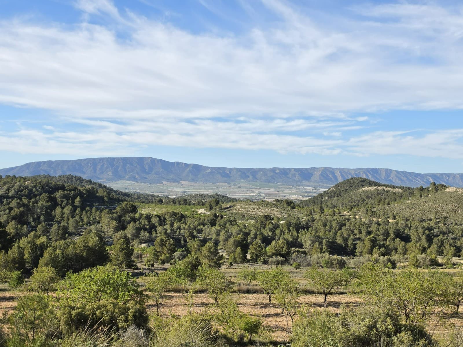 Building Plot for Sale Near Monóvar – 15,469 m²This spacious 15,469 m² plot is located in a peaceful countryside setting between Encebras and Casas del Señor, just a short drive from Monóvar. The land offers a great opportunity to build a home in a quiet environment surrounded by nature, with plenty of space for gardens, outdoor living, or additional features (subject to local planning regulations). The land is suitable for building, and a cédula urbanística has already been obtained, confirming that construction is permitted (subject to project and license approval).The plot is well positioned with open views across the surrounding landscape, making it ideal for those looking to enjoy privacy and a relaxed lifestyle while still being within easy reach of nearby villages and services.About the Area The area between Encebras and Casas del Señor is known for its traditional charm, vineyards, and beautiful countryside. Casas del Señor offers a small selection of restaurants and local amenities, while Monóvar provides a wider range of services including shops, schools, and healthcare. The region is popular with those seeking a quieter lifestyle without being isolated, and Alicante city, the airport, and the coast are all within comfortable driving distance.We have a large portfolio of properties in the Costa Blanca and Costa Calida areas, specialising in country properties, villas, fincas, building plots and design and build options in the Alicante and Murcia regions with a particular emphasis on Elda, Monovar, Pinoso, Sax, Villena, Aspe, Fortuna, Albacete and many more surrounding areas. We have been established since 2004 and have decades of experience between the team which we bring to bear to help you find and secure your new dream home. We help you every step of the way to make sure your purchase in Spain is safe and hassle free. We are not here to sell you a property, we are here to help you realise your dream and find what is right for you. With us you are in the safest hands. Contact us now to have a no obligation chat about how you too can realise your dreams.