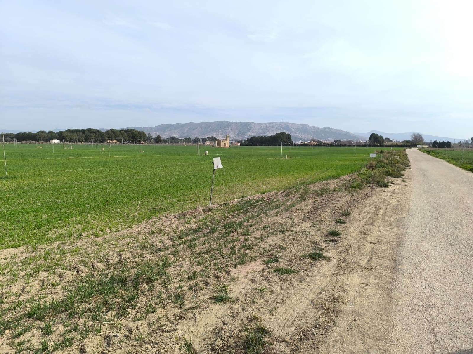 Large plots of farmland in rural area of Villena, Alicante, available. Fertile, flat land, with water connection and irrigation system. Especially suitable for growing vegetable (potato, carrot, pepper, salads), fruit trees, or for cattle farming. Roughly 15 hectares are dedicated to an irrigated almond orchard in full production, rest is used for growing cereals and vegetable. Buildable. Easy access, near a major road.The property features a large ground water deposit of app. 400 m³. Electric connection is available in the area.We can help you with the building design and connect you with architects, builders, solar panels company etc. If you liked this property, do not hesitate to contact us to organize a visit, we will be happy to help you!About the area: Villena is a picturesque medieval city rich in culture, history, and architecture. The town features two castles, beautiful churches, local markets, museums, and vibrant squares. The rich cultural life of the town includes famous festivals, such as historical event Moors and Christians, music events Rabolagartija and Leyendas Del Rock, annual Christmas fair or all-year-round wine fairs and tapas routes. Villena has a full range of services including restaurants, bars, shops, supermarkets, and schools. Alicante airport and Mediterranean beaches are only 40 minutes away, and Villena's high-speed rail station provides fast access to Alicante (35 minutes) and Madrid (2.5 hours). The surrounding landscape is perfect for nature lovers, with scenic trails, vineyards, and mountain views.About us: We have a large portfolio of properties in the Costa Blanca and Costa Calida areas, specialising in country properties, villas, fincas, building plots and design and build options in the Alicante and Murcia regions with a particular emphasis on Yecla, Novelda, Elda, Monovar, Pinoso, Sax, Villena, Aspe, Fortuna, Jumilla, Abanilla, and many more surrounding areas. We have been established since 2004 and have decades of experience between the team which we bring to bear to help you find and secure your new dream home. We help you every step of the way to make sure your purchase in Spain is safe and hassle free. We are not here to sell you a property, we are here to help you realise your dream and find what is right for you. With us you are in the safest hands. Contact us now to have a no obligation chat about how you too can realise your dreams.