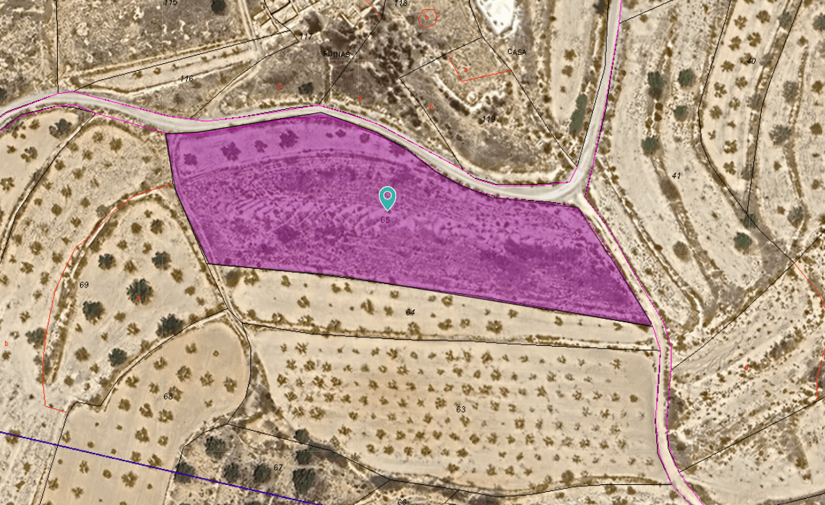 Rural plot of 5,208 m² located in Raspay, a peaceful area within the municipality of Yecla. The land is planted with a combination of almond and olive trees, offering an attractive agricultural setting and the opportunity to maintain or enjoy the existing cultivation.The plot is easily accessible and provides open countryside views, making it an ideal option for those seeking a rural property for agricultural use, recreation, or as a long-term investment.Please note that construction is not permitted on this land.About the AreaRaspay is a small village located in the southern part of Yecla, close to the border between the Region of Murcia and the Province of Alicante. Surrounded by natural landscapes, vineyards, olive groves, and almond orchards, the area is known for its quiet atmosphere and traditional rural character. Despite its peaceful setting, Yecla town is within easy reach and offers a full range of services, shops, restaurants, and local amenities. The surrounding countryside provides excellent opportunities to enjoy nature, walking, and the authentic Mediterranean environment.We have a large portfolio of properties in the Costa Blanca and Costa Calida areas, specialising in country properties, villas, fincas, building plots and design and build options in the Alicante and Murcia regions with a particular emphasis on Elda, Monovar, Pinoso, Sax, Villena, Aspe, Fortuna, Albacete and many more surrounding areas. We have been established since 2004 and have decades of experience between the team which we bring to bear to help you find and secure your new dream home. We help you every step of the way to make sure your purchase in Spain is safe and hassle free. We are not here to sell you a property, we are here to help you realise your dream and find what is right for you. With us you are in the safest hands. Contact us now to have a no obligation chat about how you too can realise your dreams.